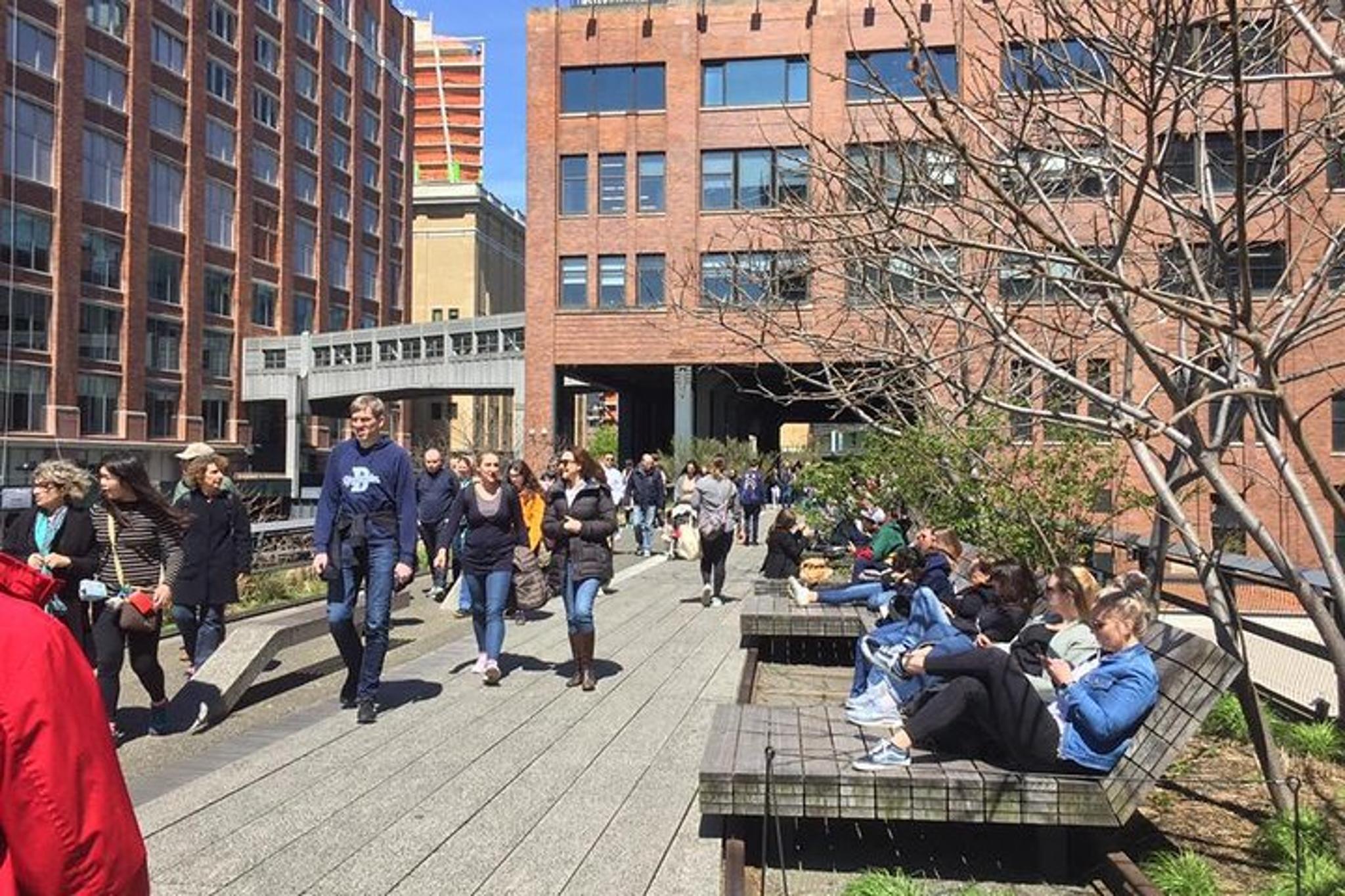 New York High Line and Hudson Yards Walking Tour - Image 5
