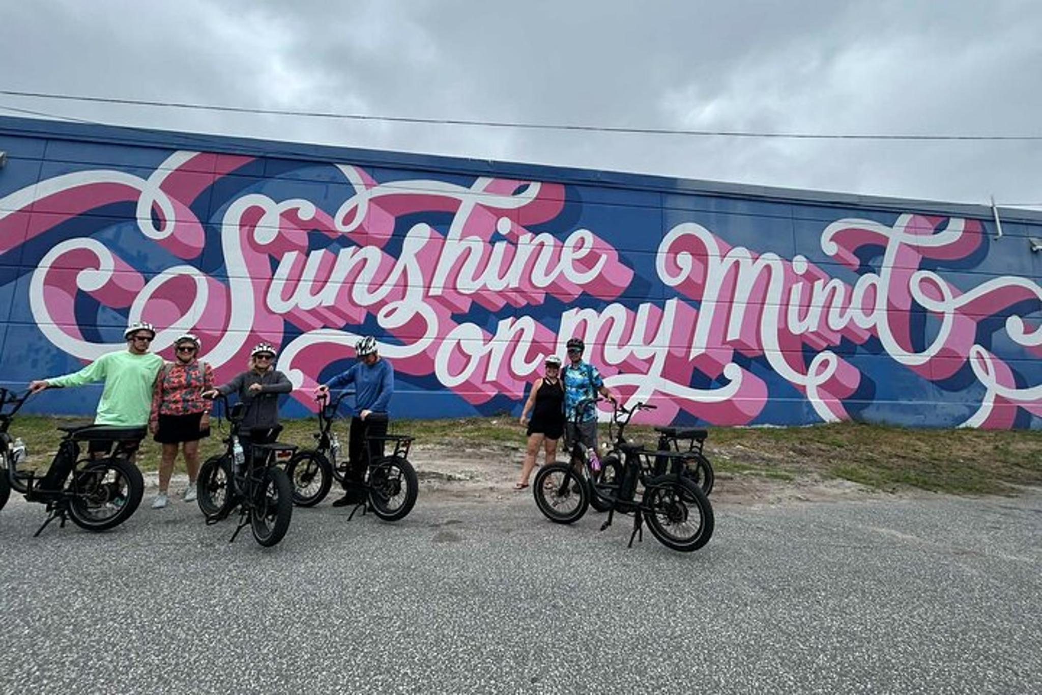 St Petersburg E-Bike Tour: Sights & Murals - Image 3