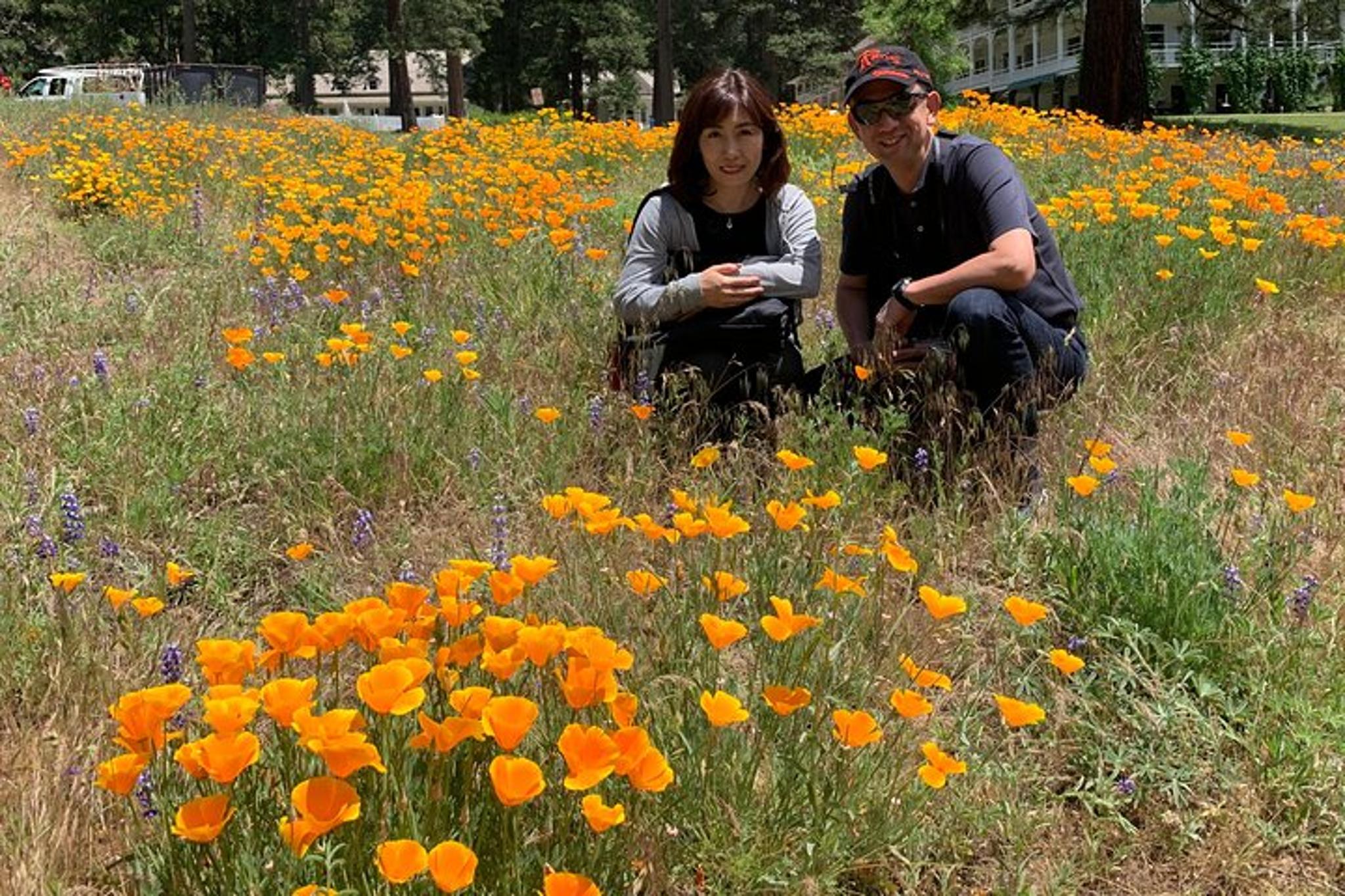 San Francisco Yosemite Private Tour 2 Days - Image 4