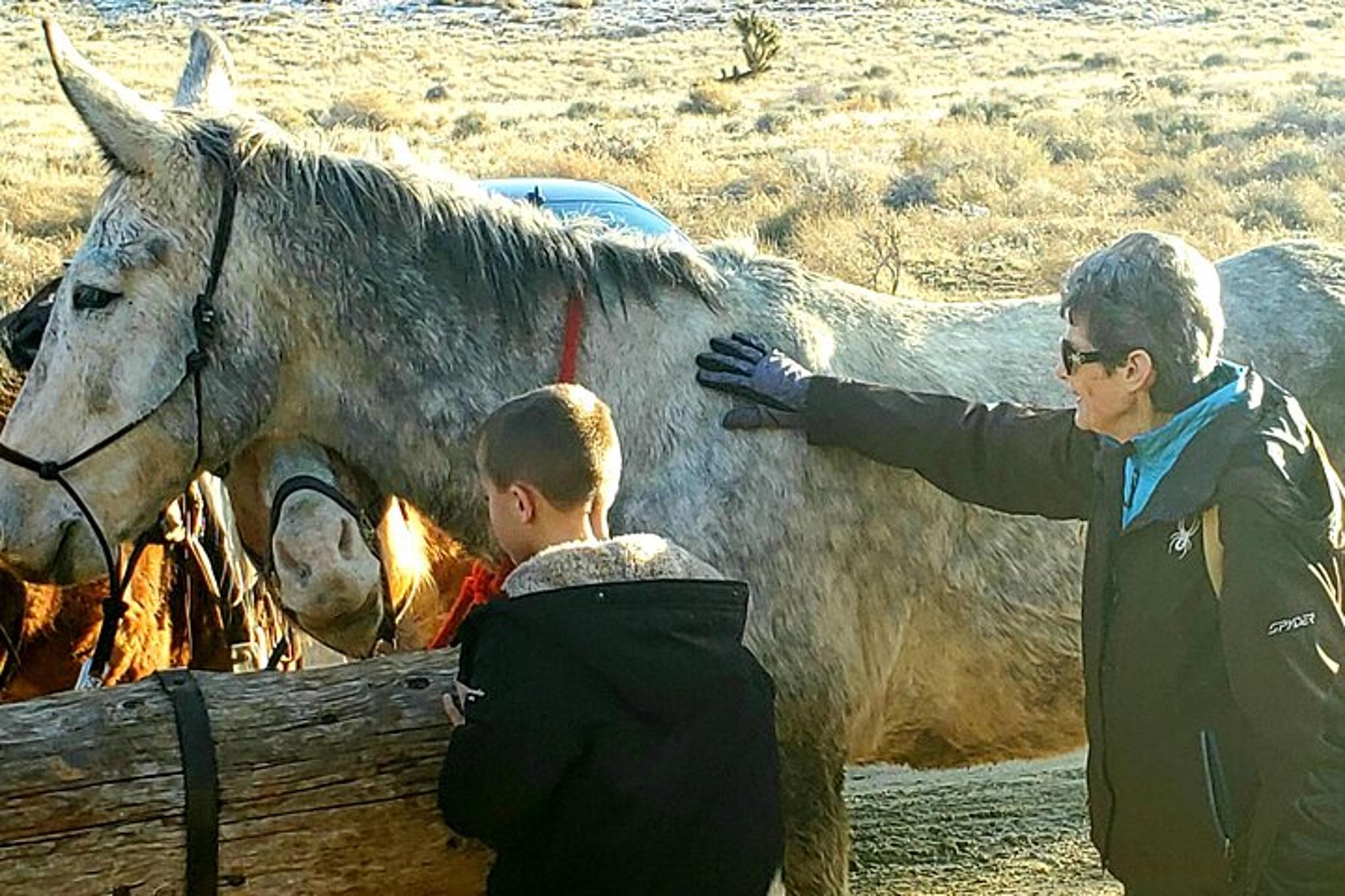 Las Vegas Animal Petting and Sunset Hike - Image 2