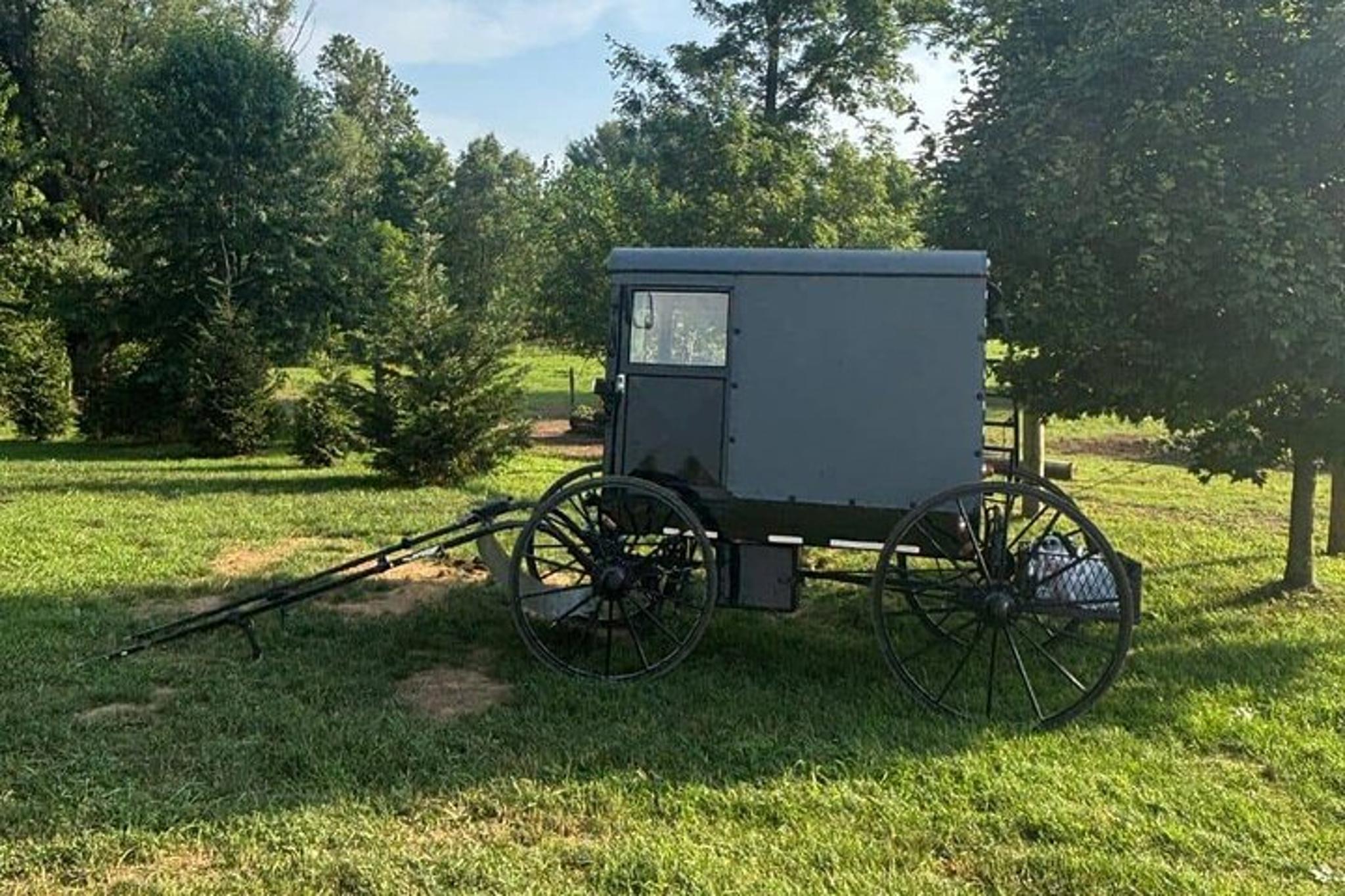Lancaster Amish Cookout Experience - Image 2