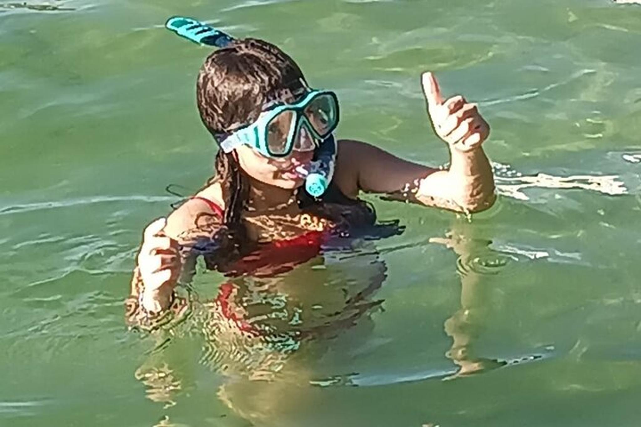 Miami Snorkel Adventure and Sandbar Trip - Image 3
