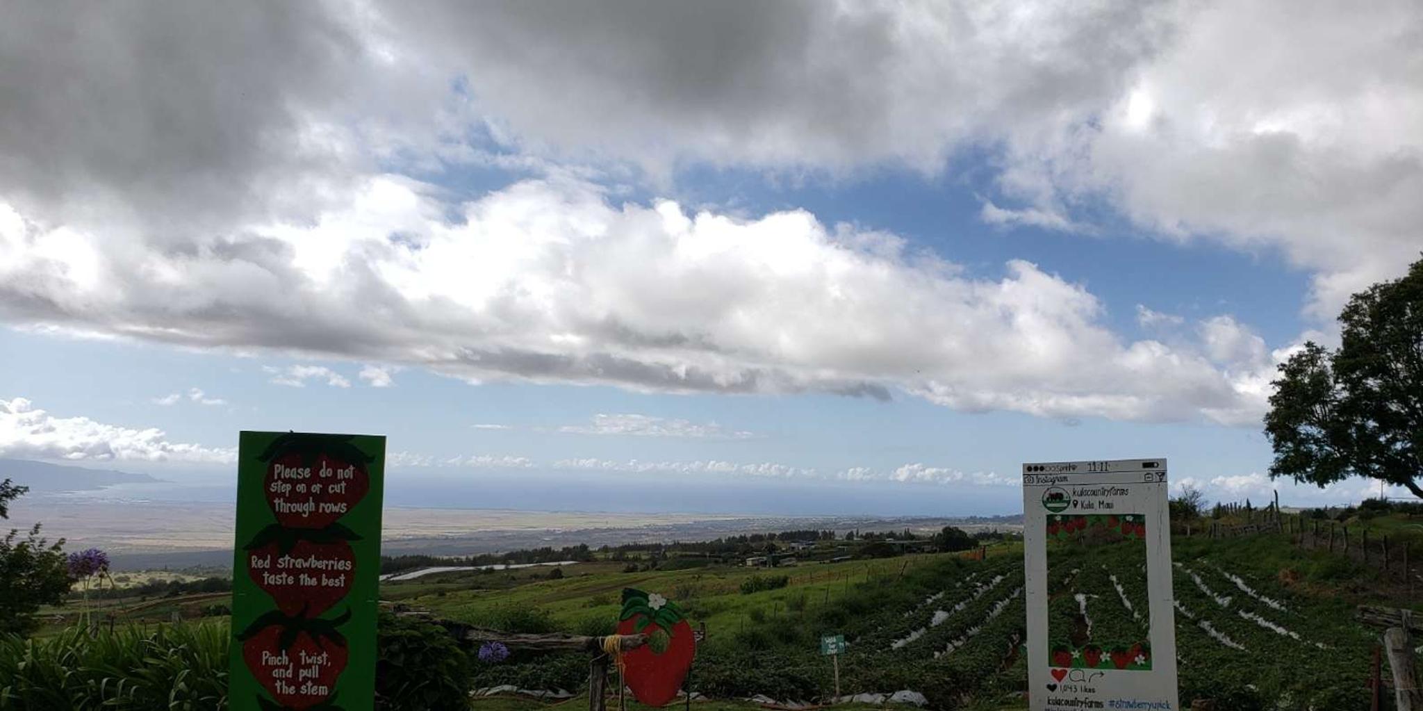 Maui Road to Hana Scenic Drive - Image 2