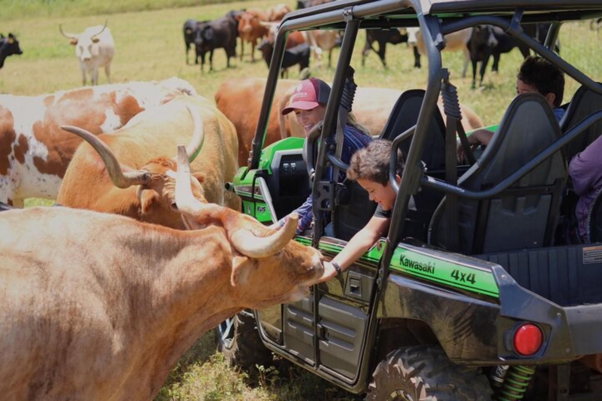 Oahu Off-Road Tour at Gunstock Ranch 1 hr - Image 3
