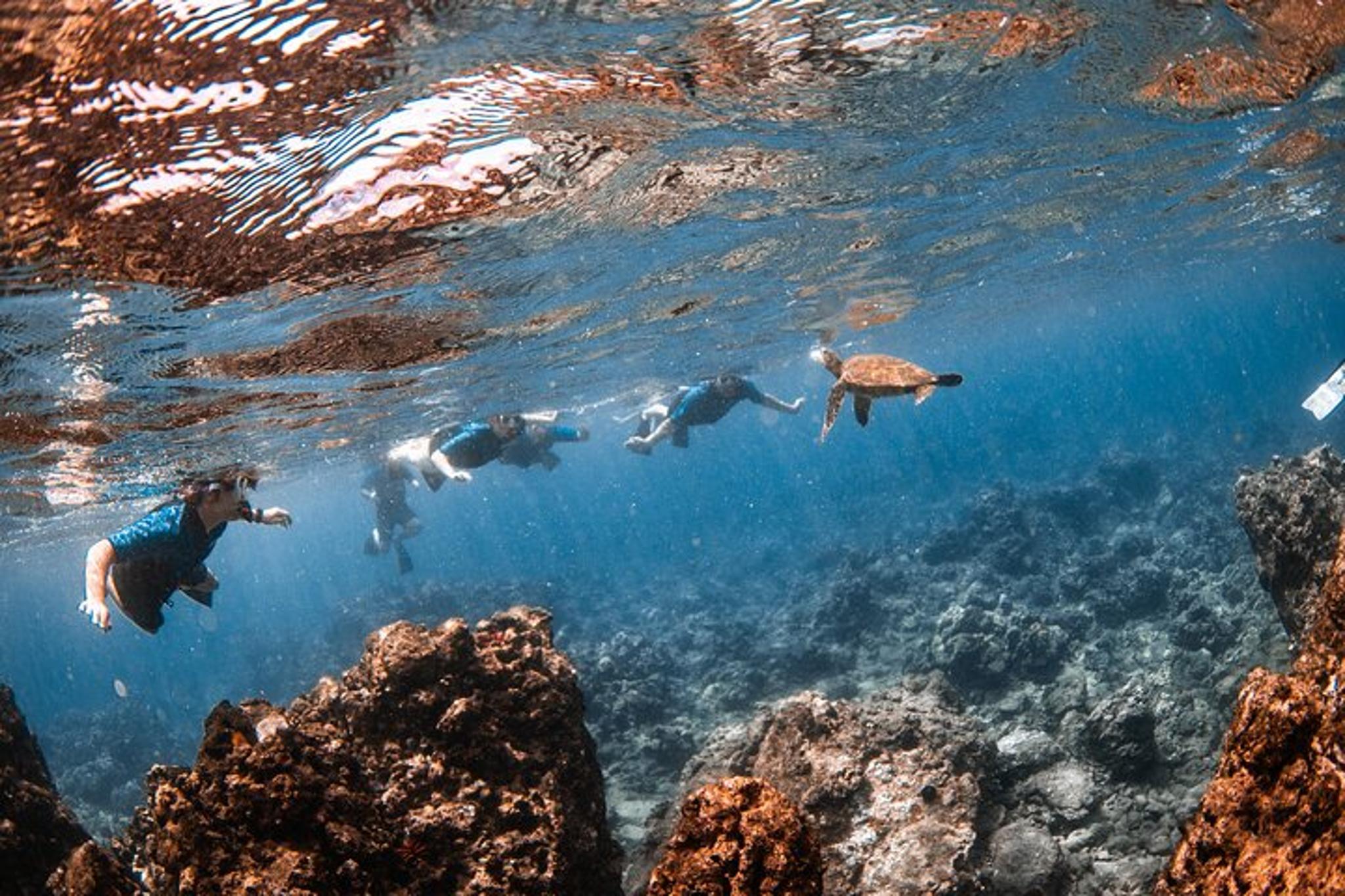 Maui Snorkeling Tour with Free Photo and Video 90 min - Image 6