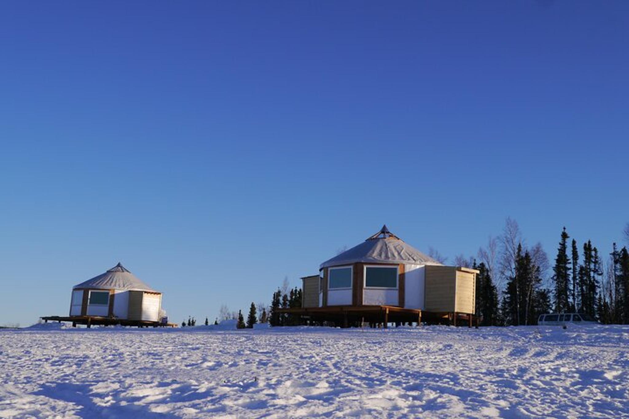 Fairbanks Northern Lights Lodge Tour - Image 6