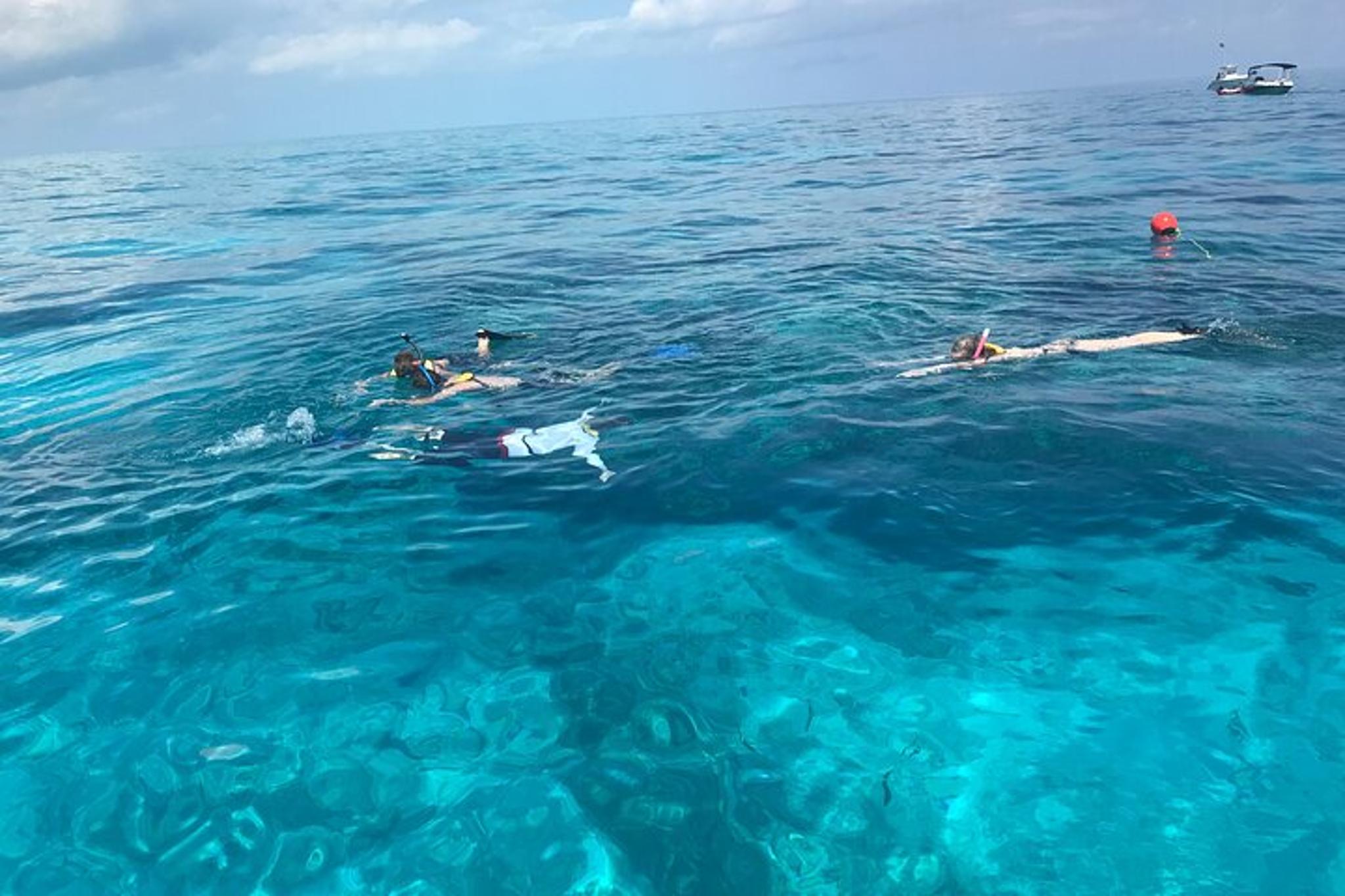 Key Largo Snorkeling Tour to Reef - Image 2