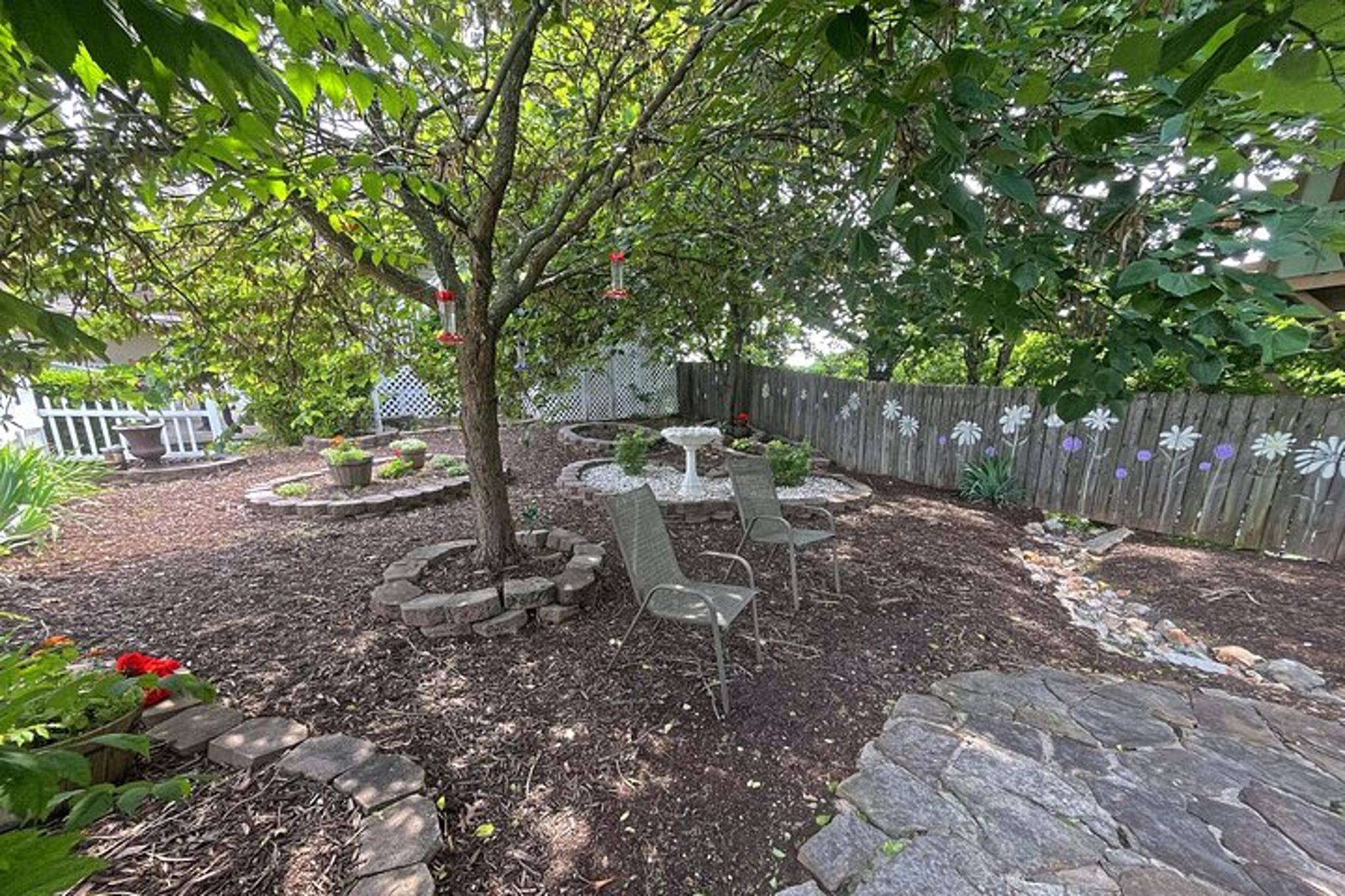 Branson Cart Adventure - Image 5