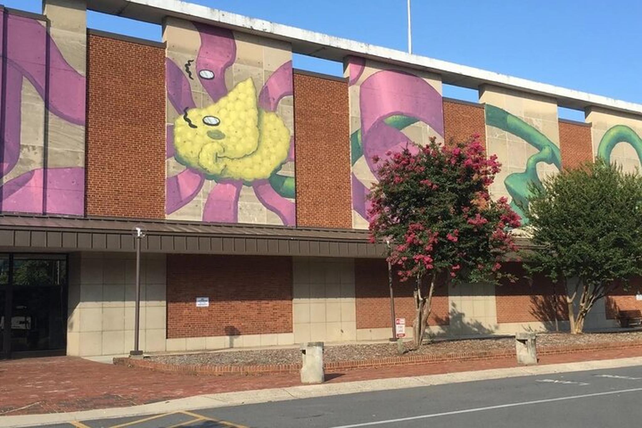 Charlotte Mural Art Tour - Image 6