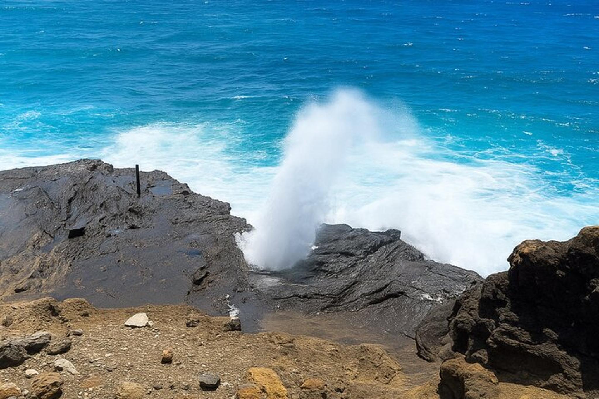 Oahu Circle Island Tour North Shore and East Side - Image 3
