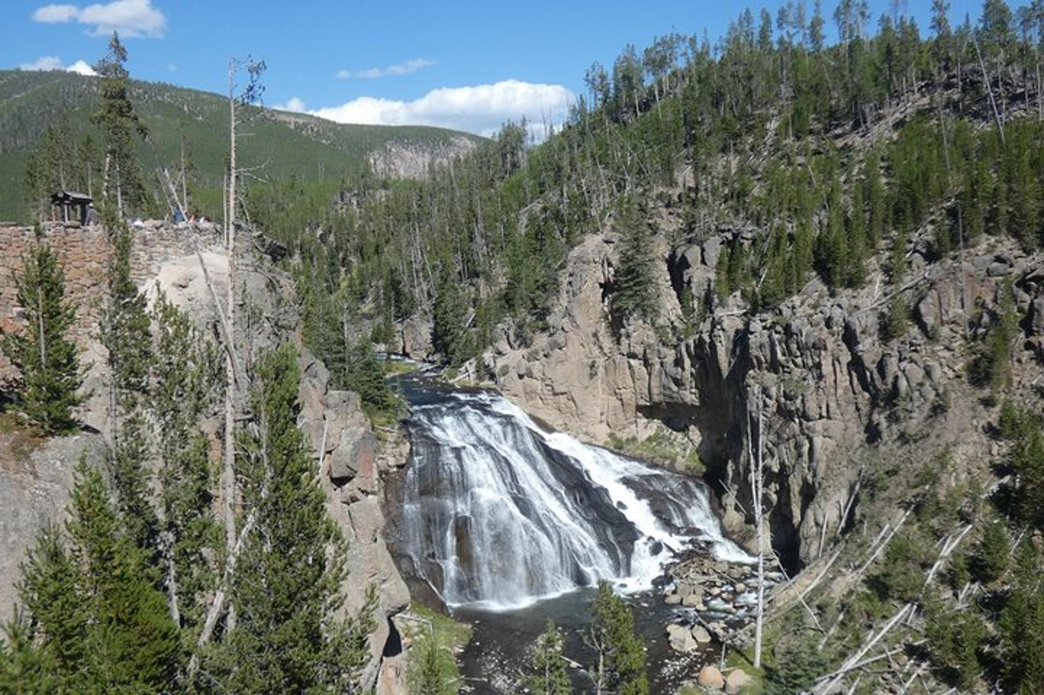 Yellowstone Lower Loop Tour - Image 5