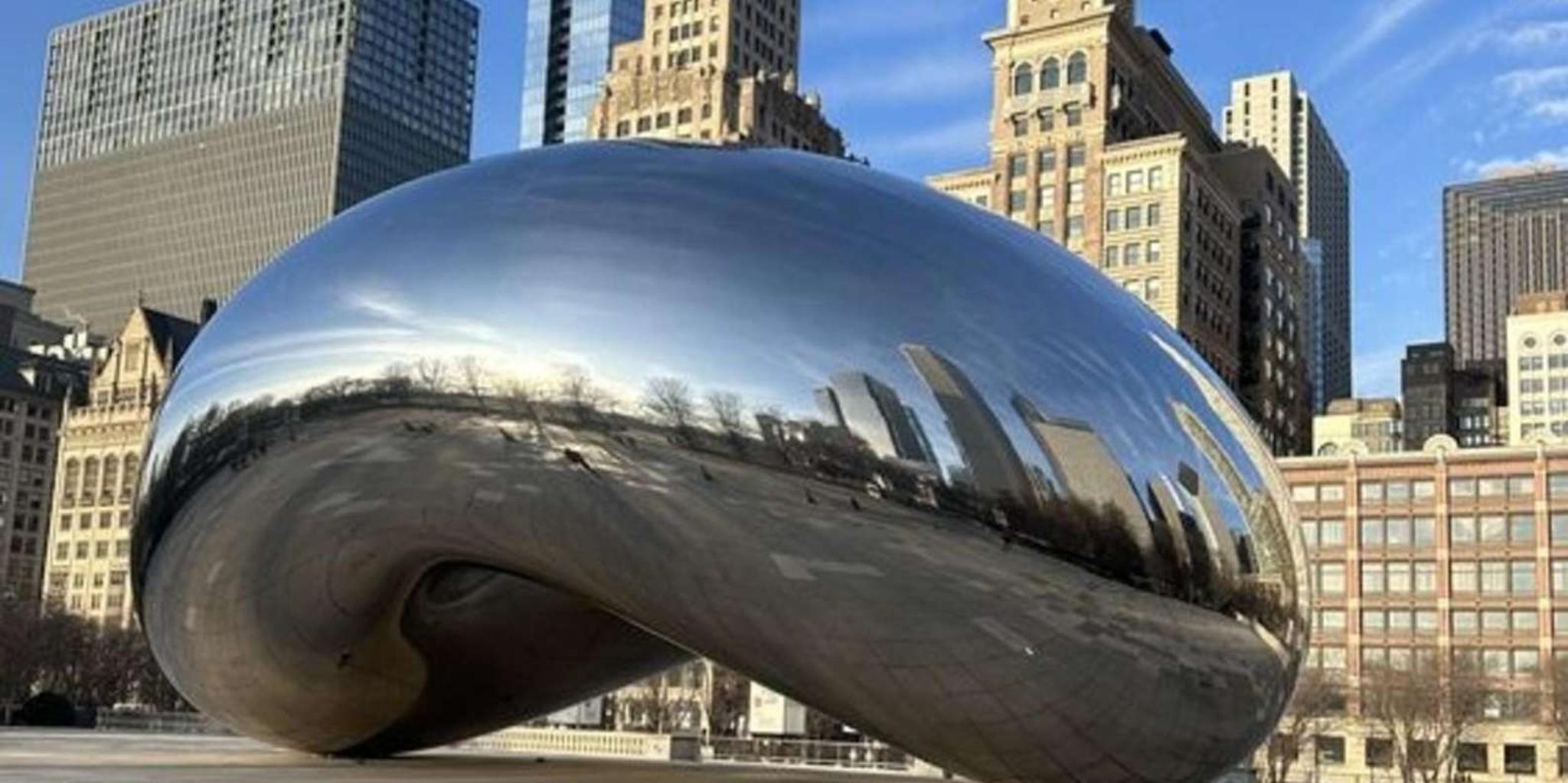 Chicago Walking Tour with a Guide - Image 3
