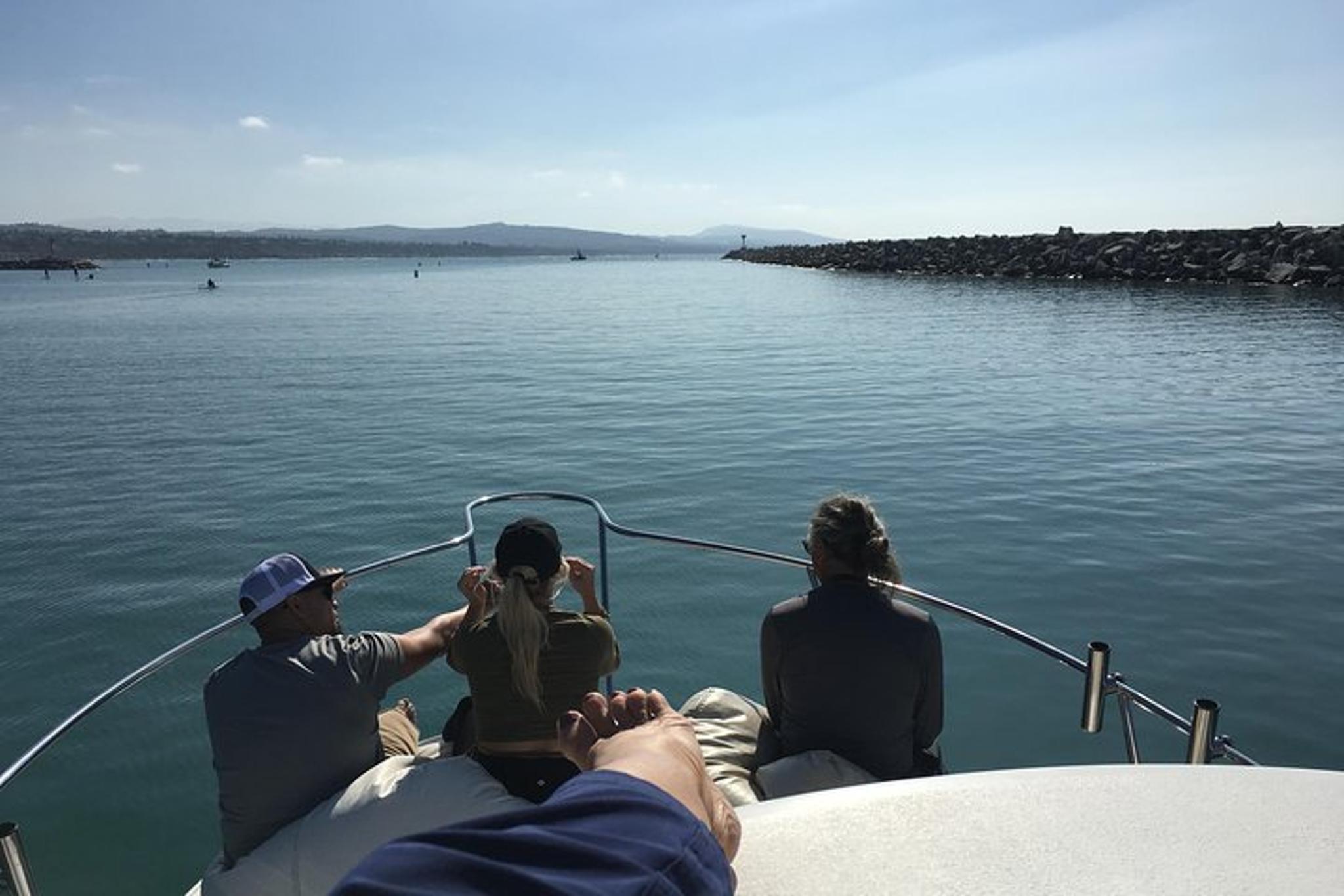 Dana Point Whale and Dolphin Watching Tour - Image 3