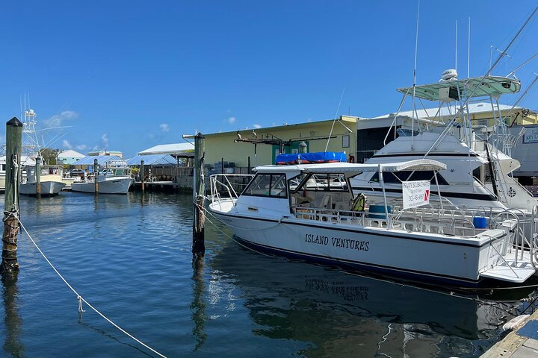 Key Largo SCUBA Dive for Certified Divers 3 hr - Image 5