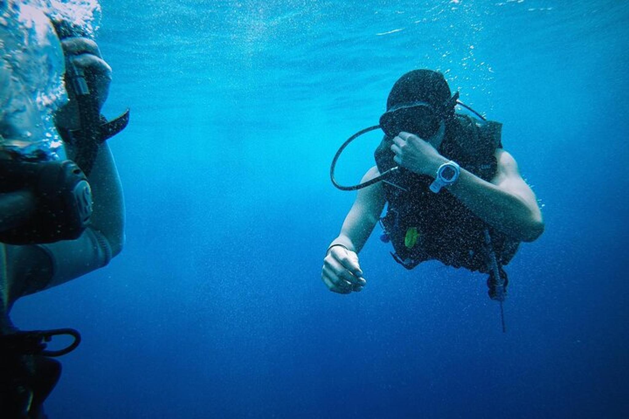 Miami to Key West Snorkeling Tour - Image 5