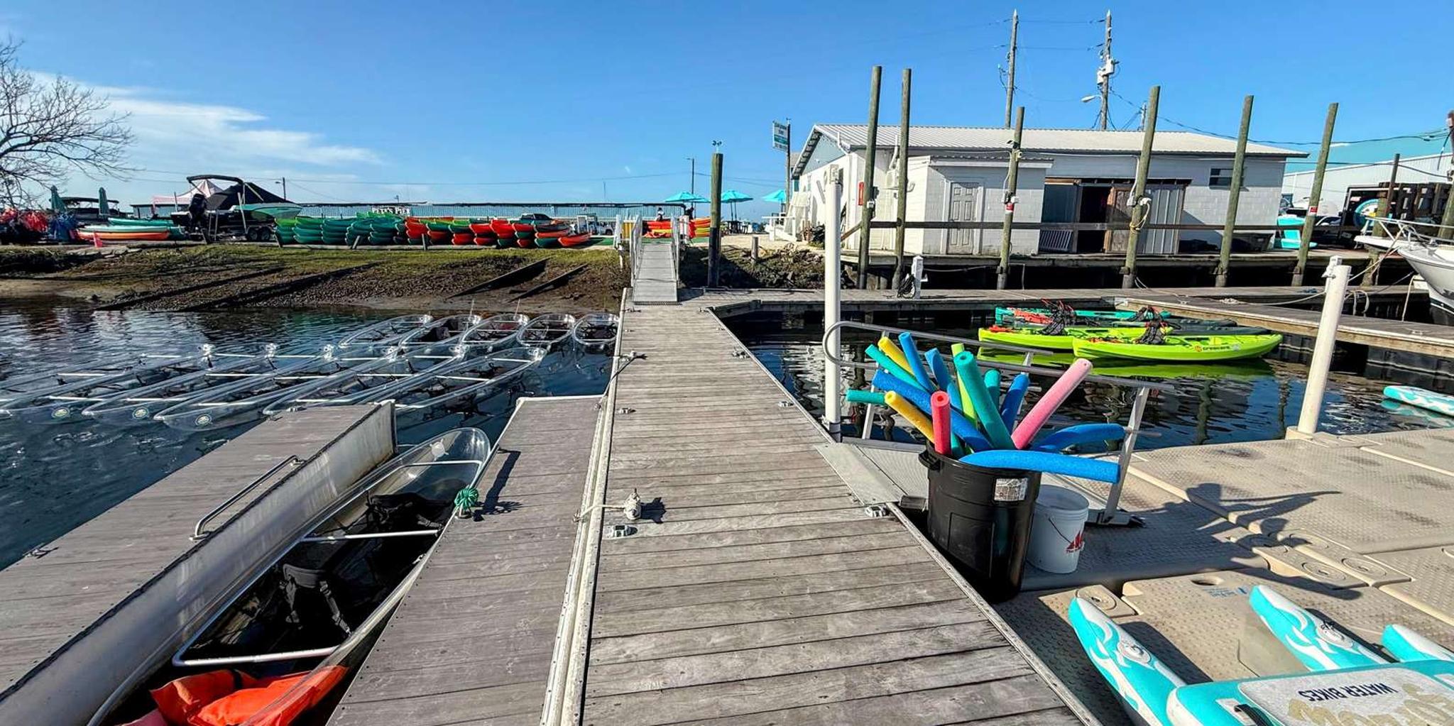 Crystal River Three Sisters Springs Kayak Eco Tour - Image 4