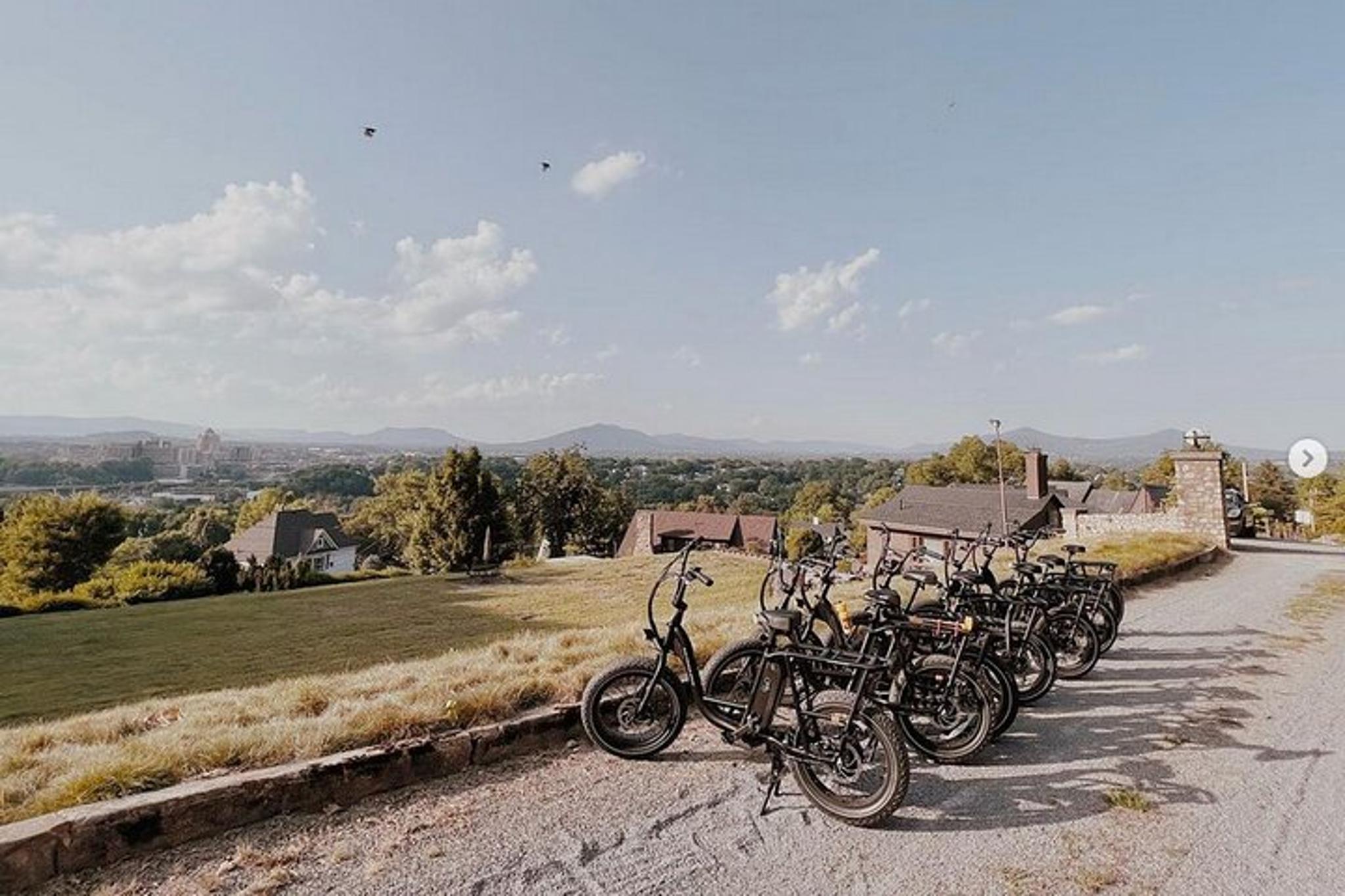 Roanoke E-bike Tour on the River Greenway 2 hr - Image 4