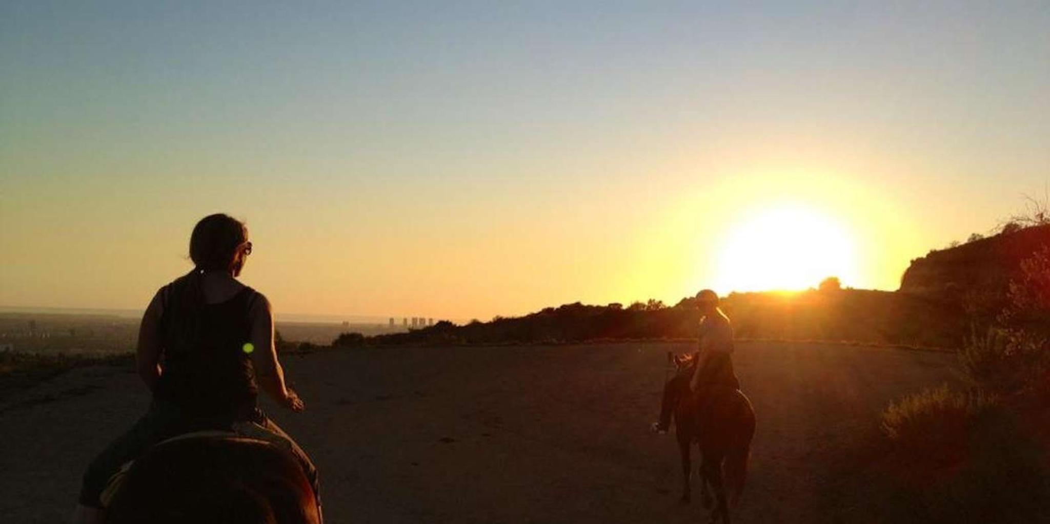 Los Angeles Horseback Riding Tour in Griffith Park - Image 5