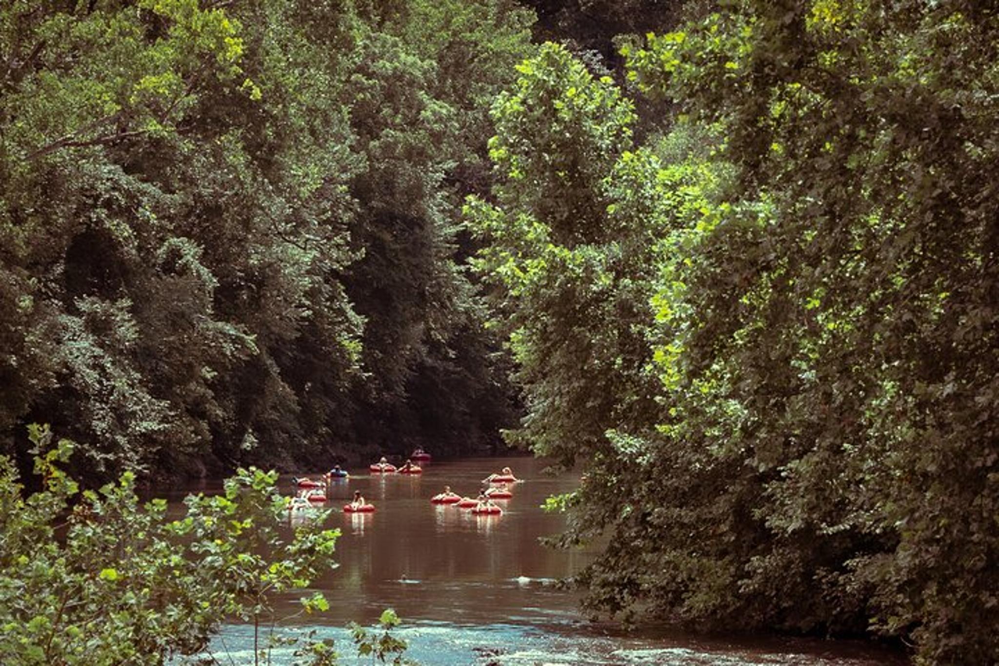 Roanoke River Tube Rental with Shuttle 2 hr - Image 6
