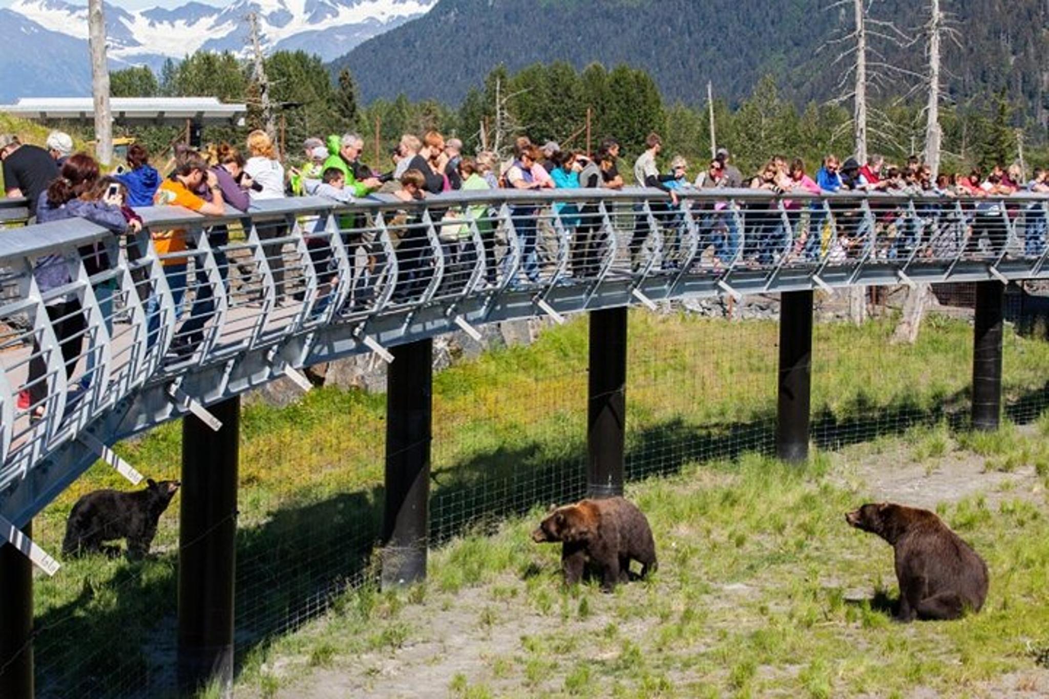 Anchorage Wildlife Conservation and Glacier Viewing