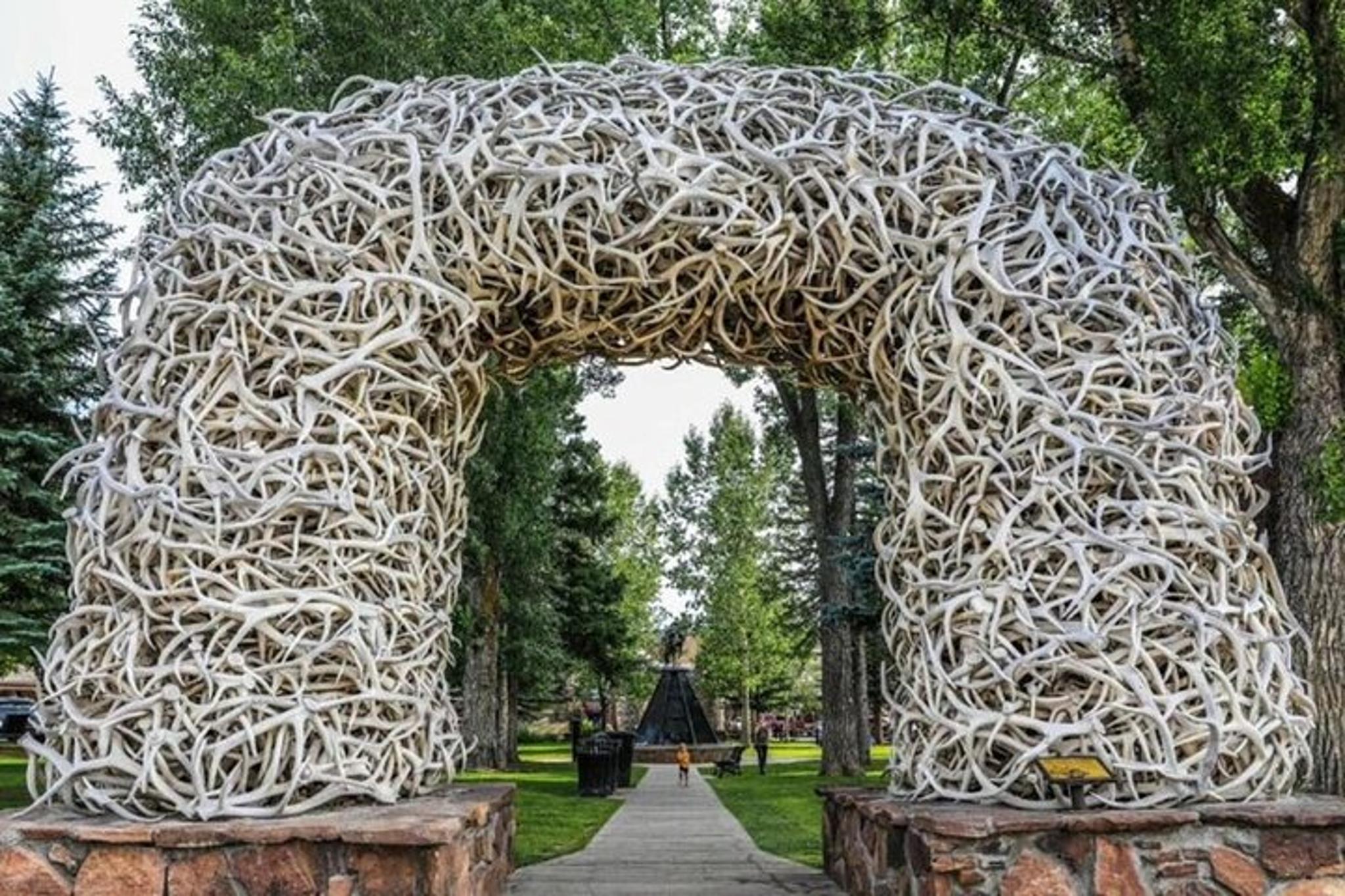 Bozeman Yellowstone and Teton Tour 3-Day - Image 2