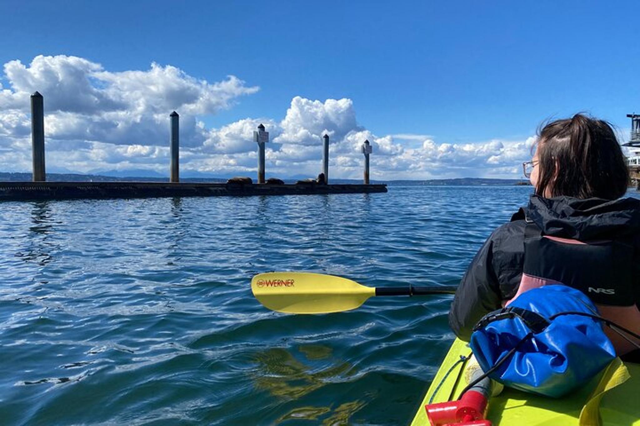 Seattle Sound Kayaking Tour 2 hr - Image 5