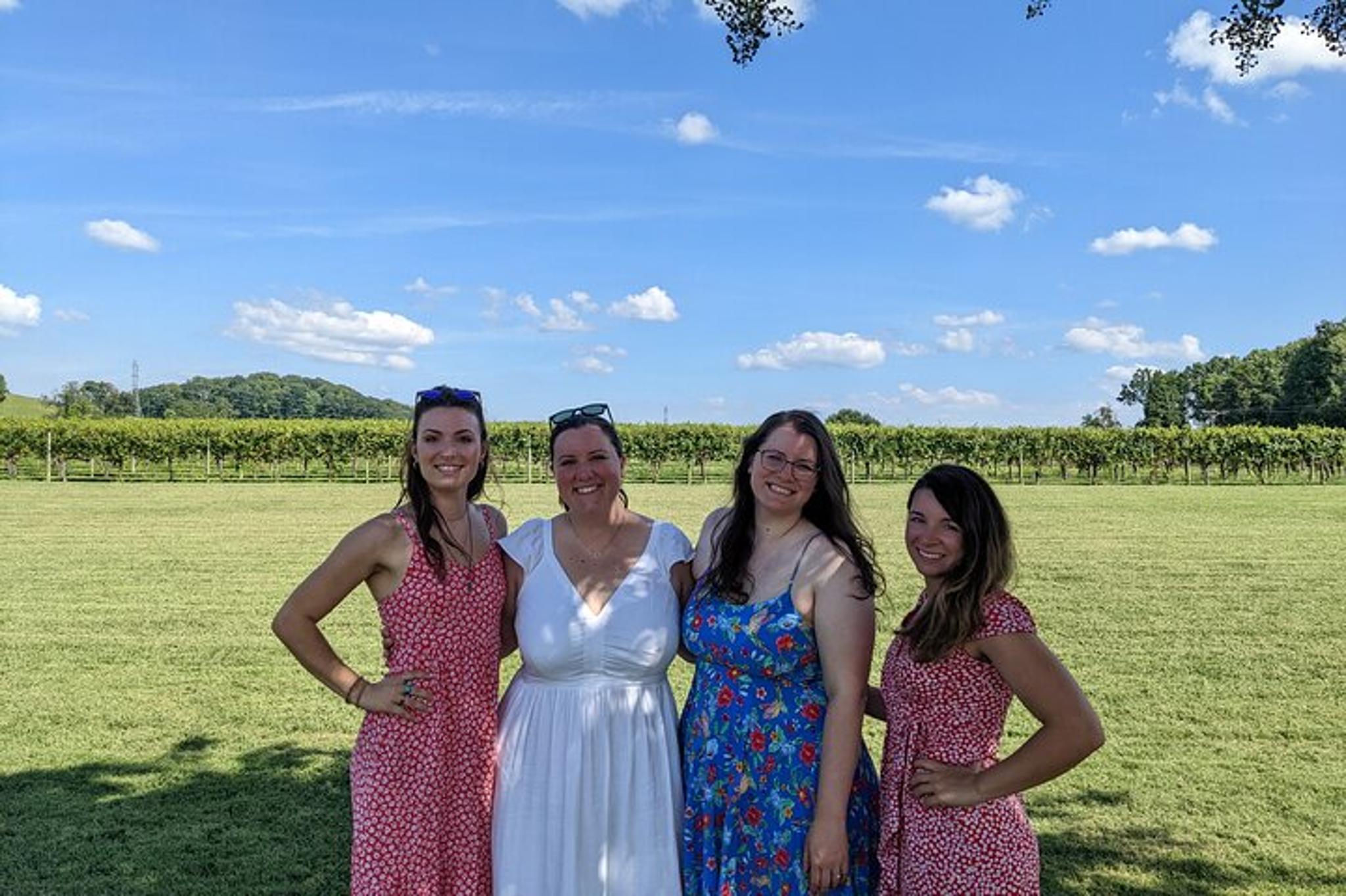 Yadkin Valley Vineyard Tour - Image 3
