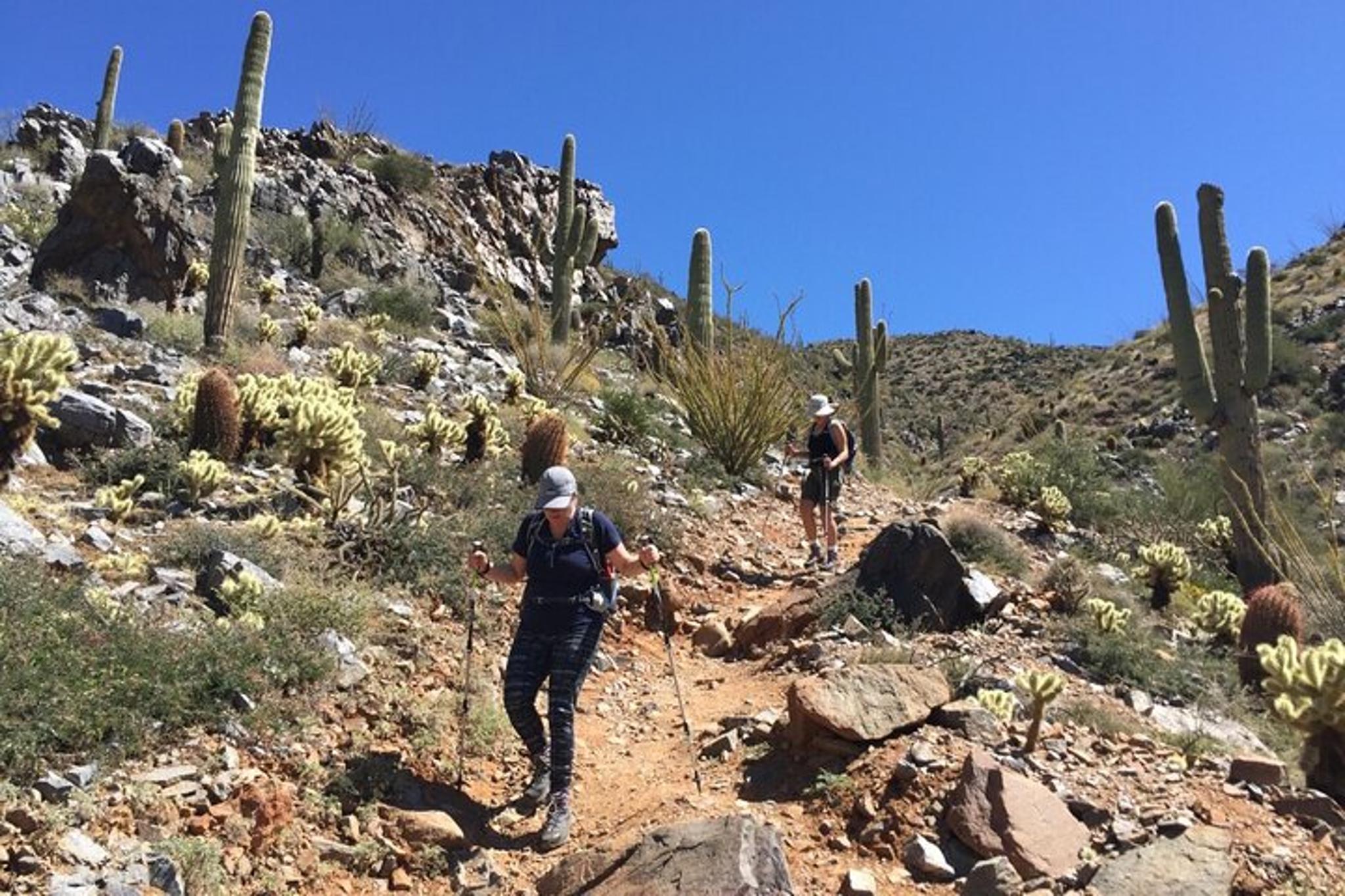 Scottsdale Desert Hiking Adventure - Image 1