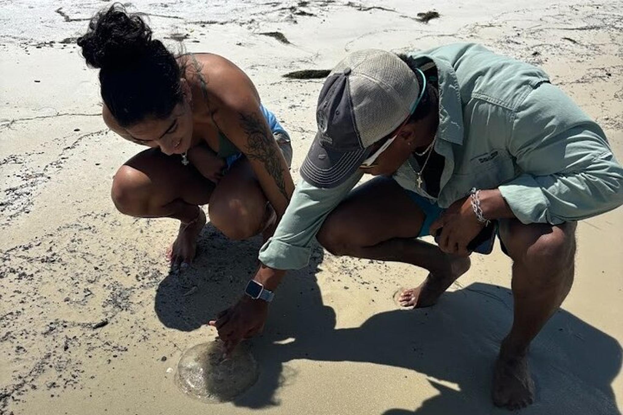 Destin Clear Kayak Ecotour - Image 3