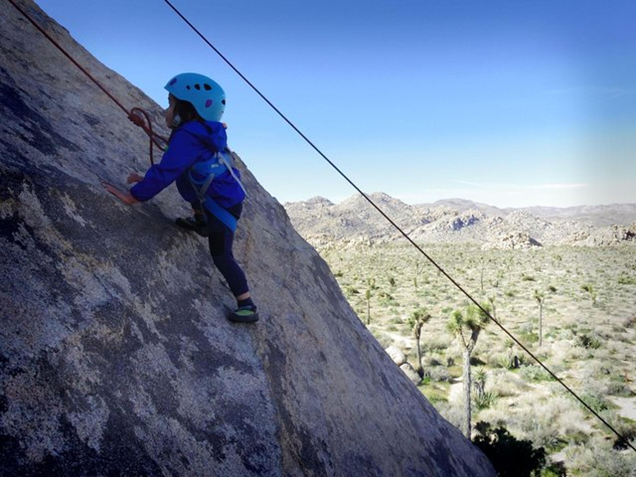 Joshua Tree Rock Climbing Adventure - Image 6