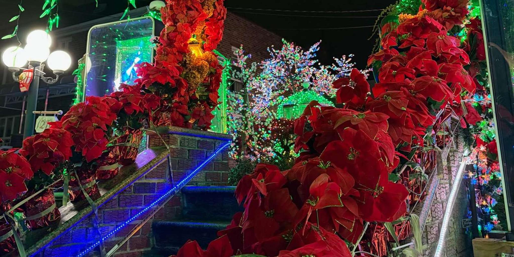 New York City Christmas Lights Bus Tour - Image 6