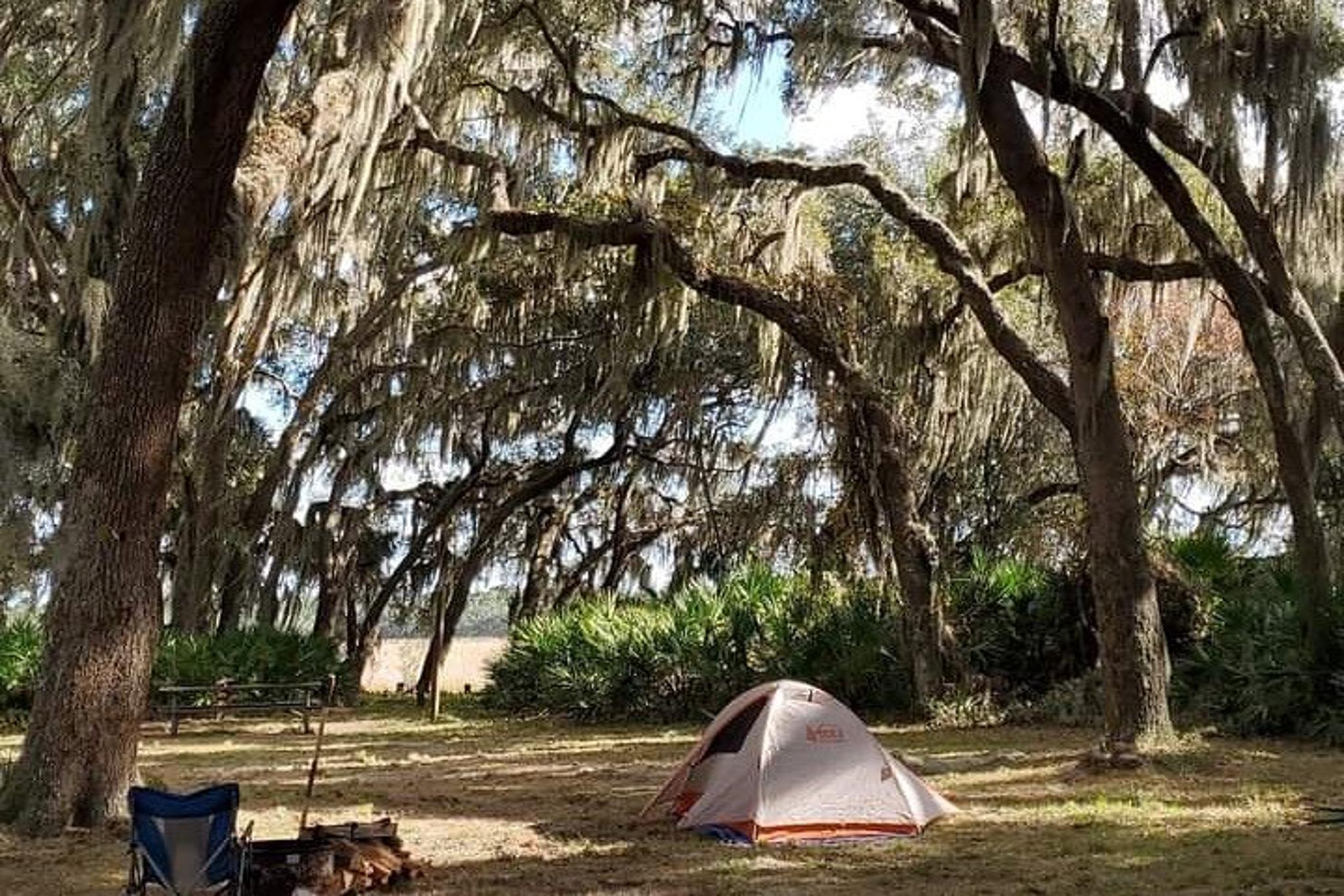 Florida Backcountry Day Hike - Image 5