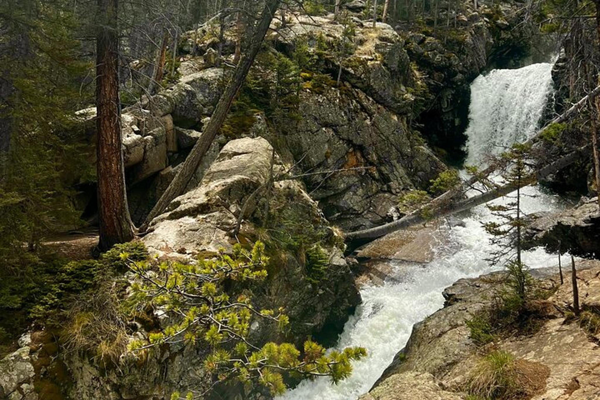 Buena Vista Hiking Adventure - Image 3