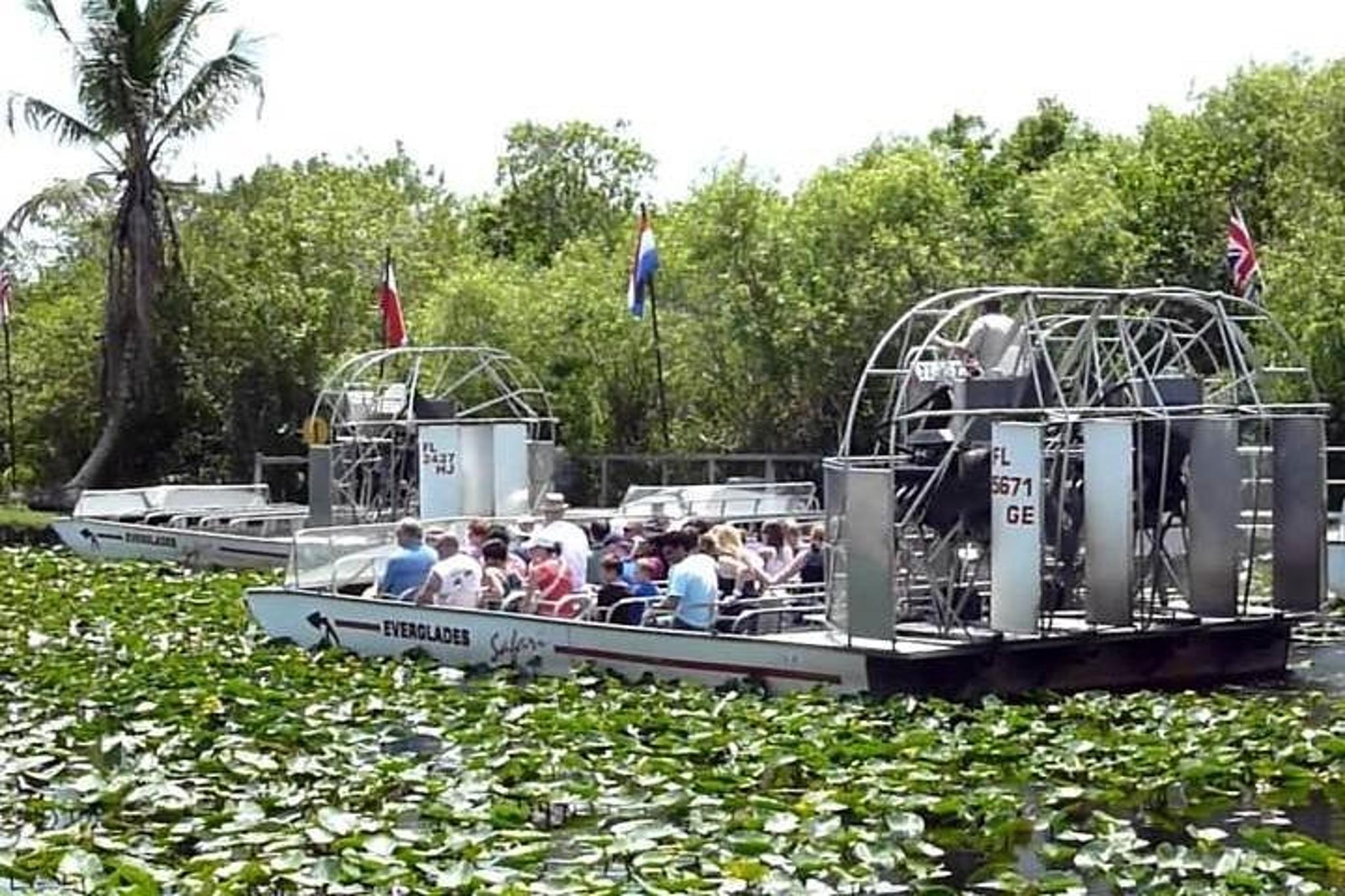 Miami Everglades Airboat & Alligator Tour - Image 6