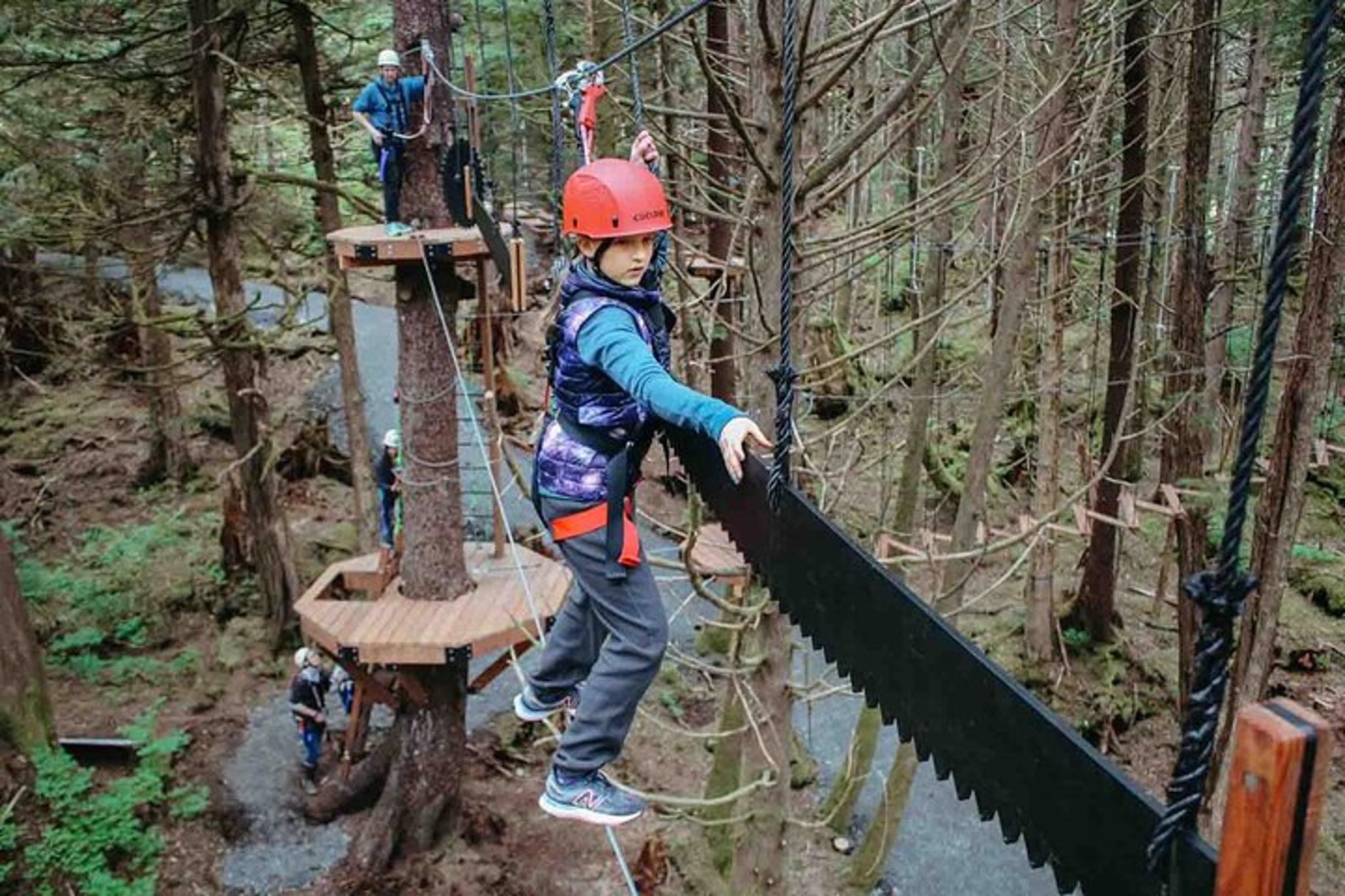Sitka Aerial Adventure Ropes Course 2 hr - Image 1