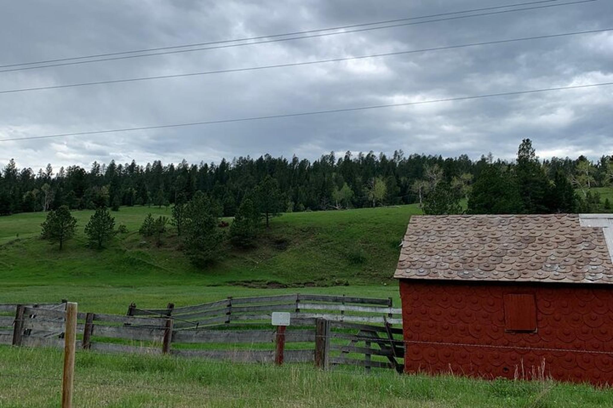 Black Hills Mickelson Trail Bicycling Tour - Image 4
