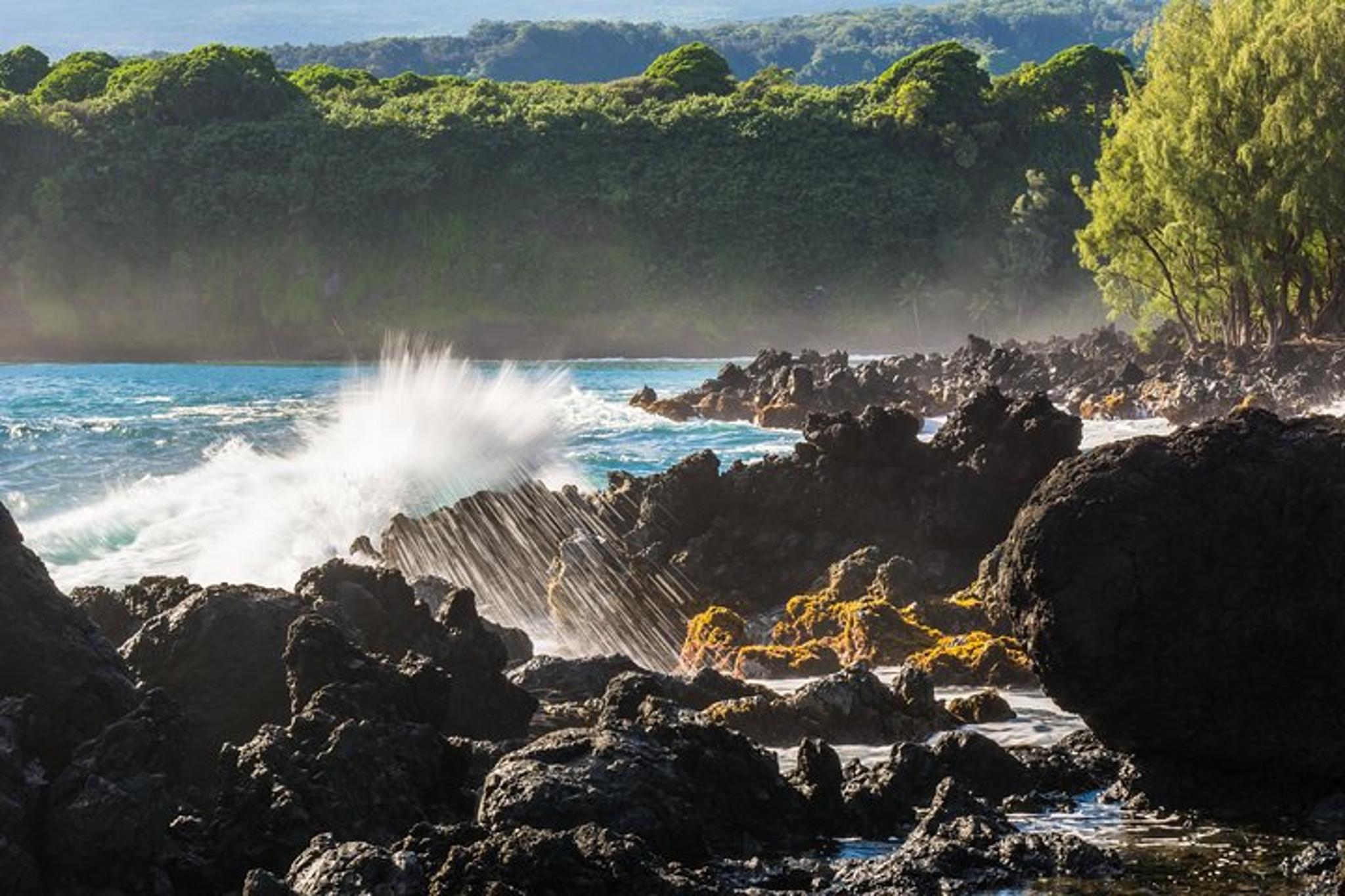 Paia Road to Hana Private Tour