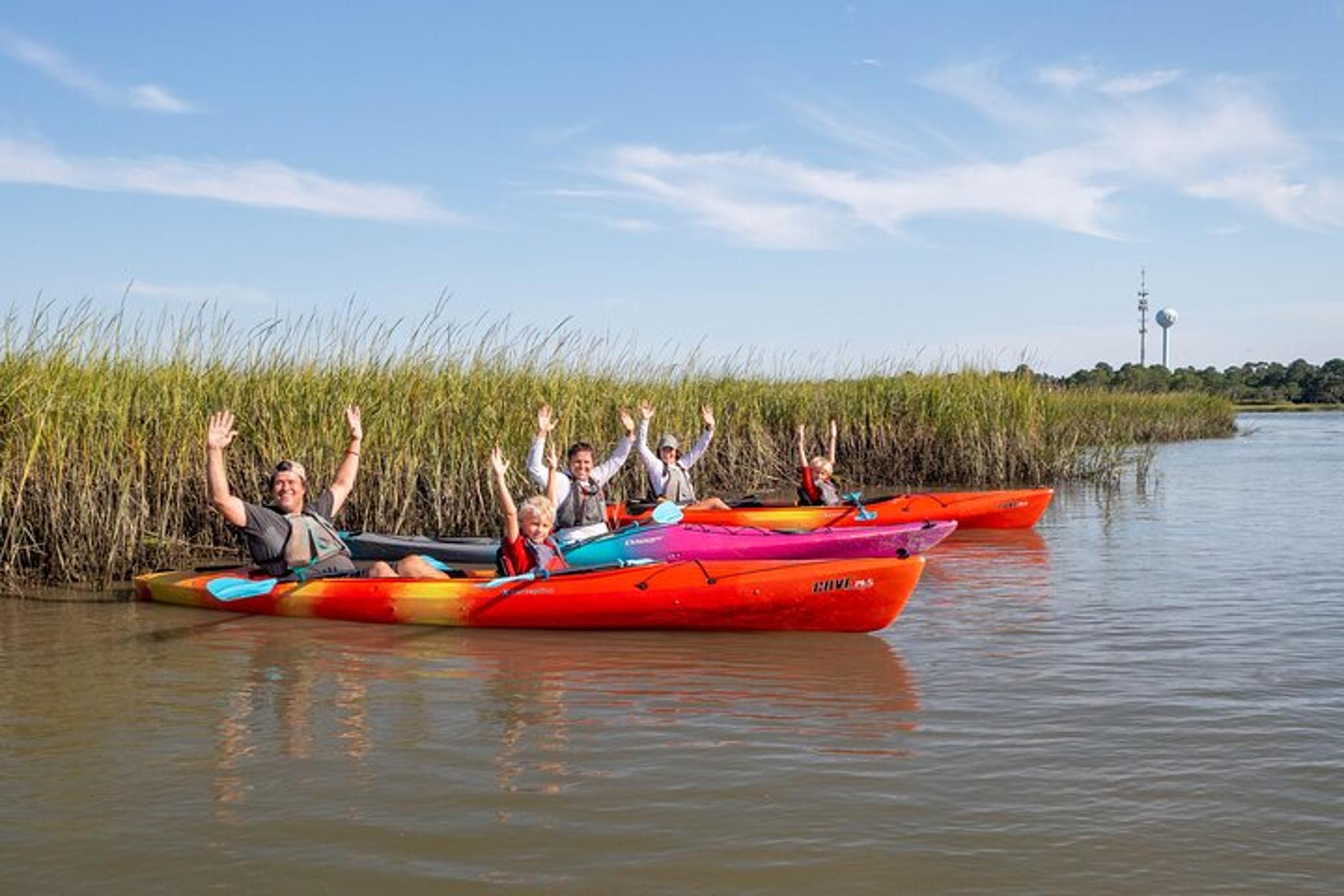 Folly Beach Dolphin Kayak Tour - Image 6