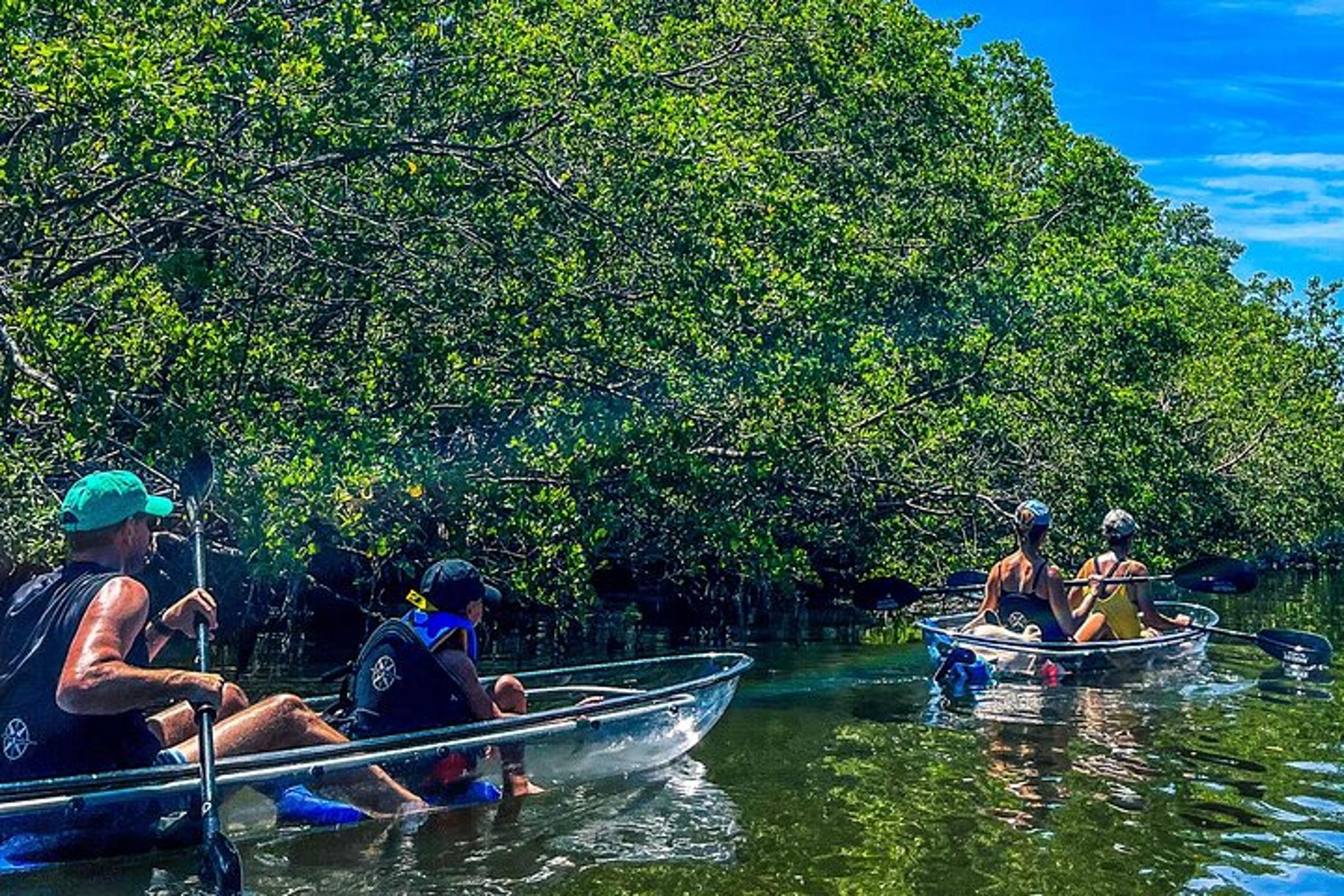 Bradenton Clear Kayak Ecotour at Robinson Preserve - Image 5