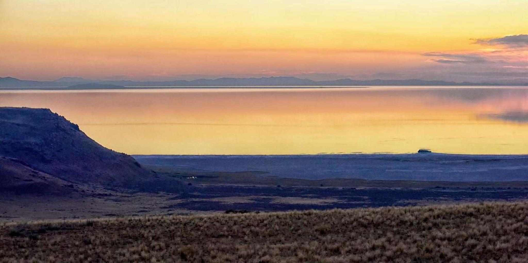 Antelope Island Wildlife Expedition - Image 3