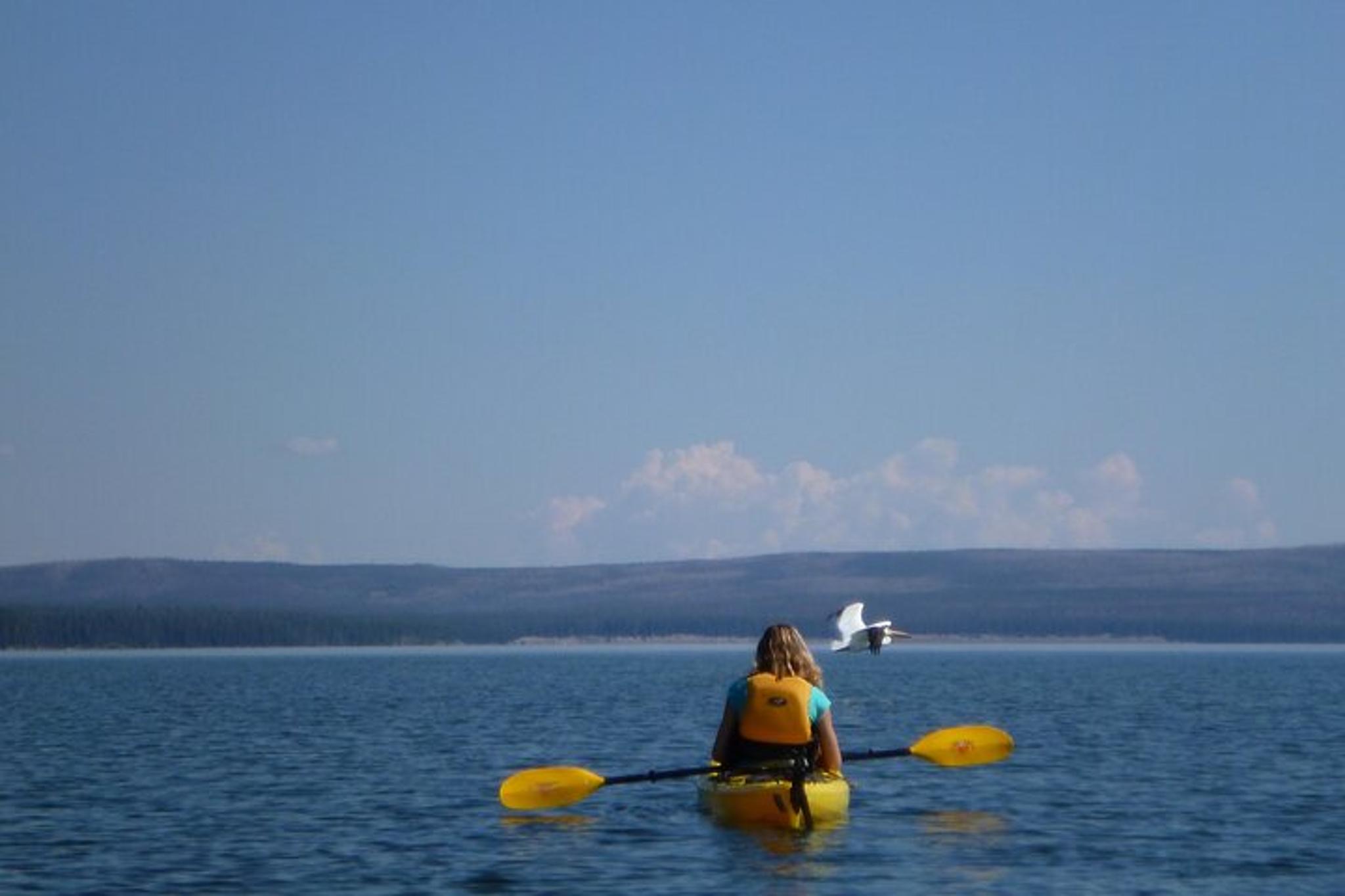 Yellowstone Lake Kayak Tour - Image 6