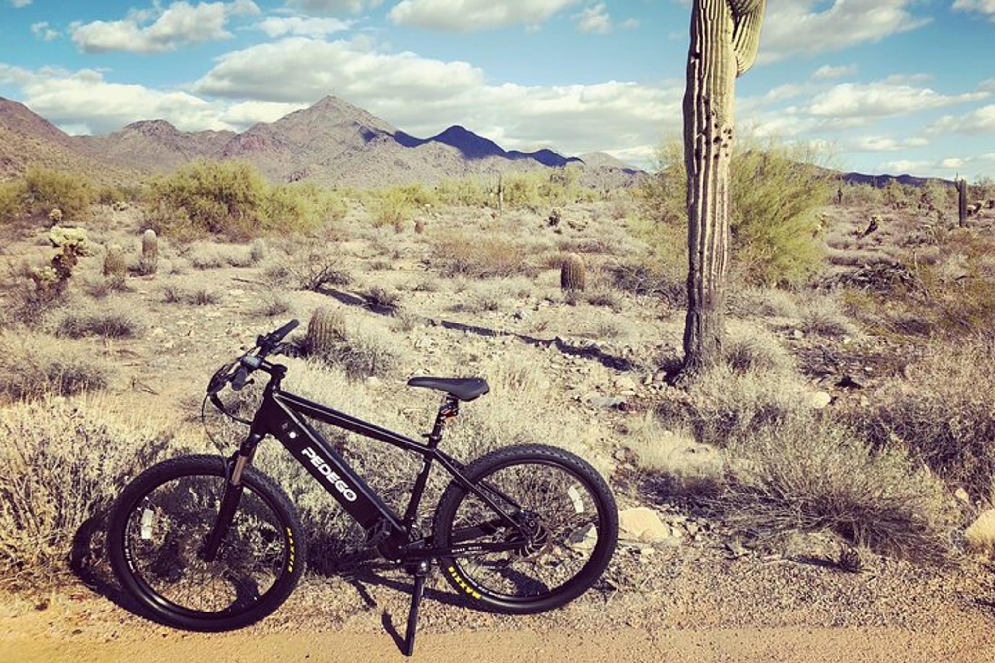 North Scottsdale Electric Bike Rental - Image 3