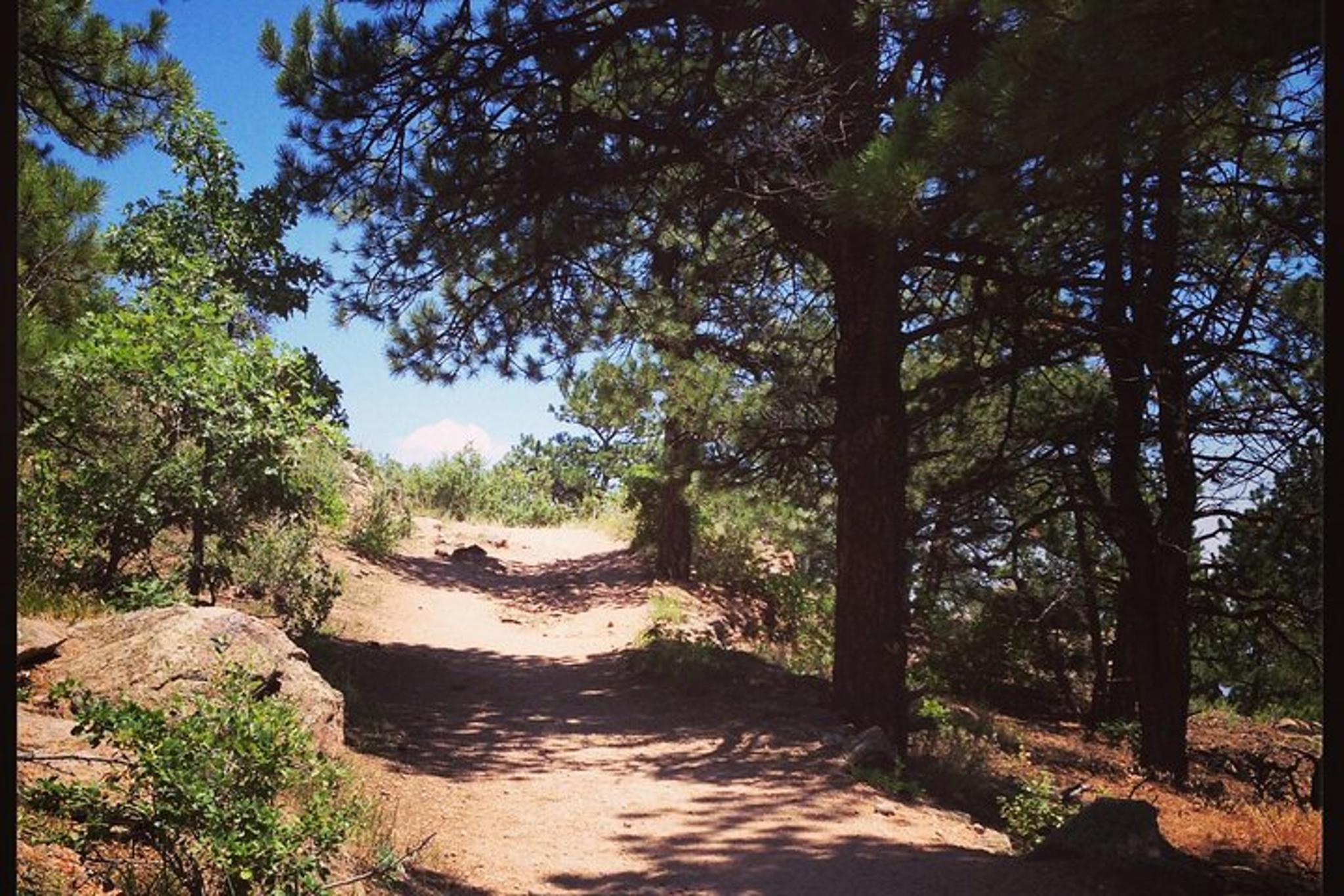 Denver Front Range Hiking Adventure - Image 6