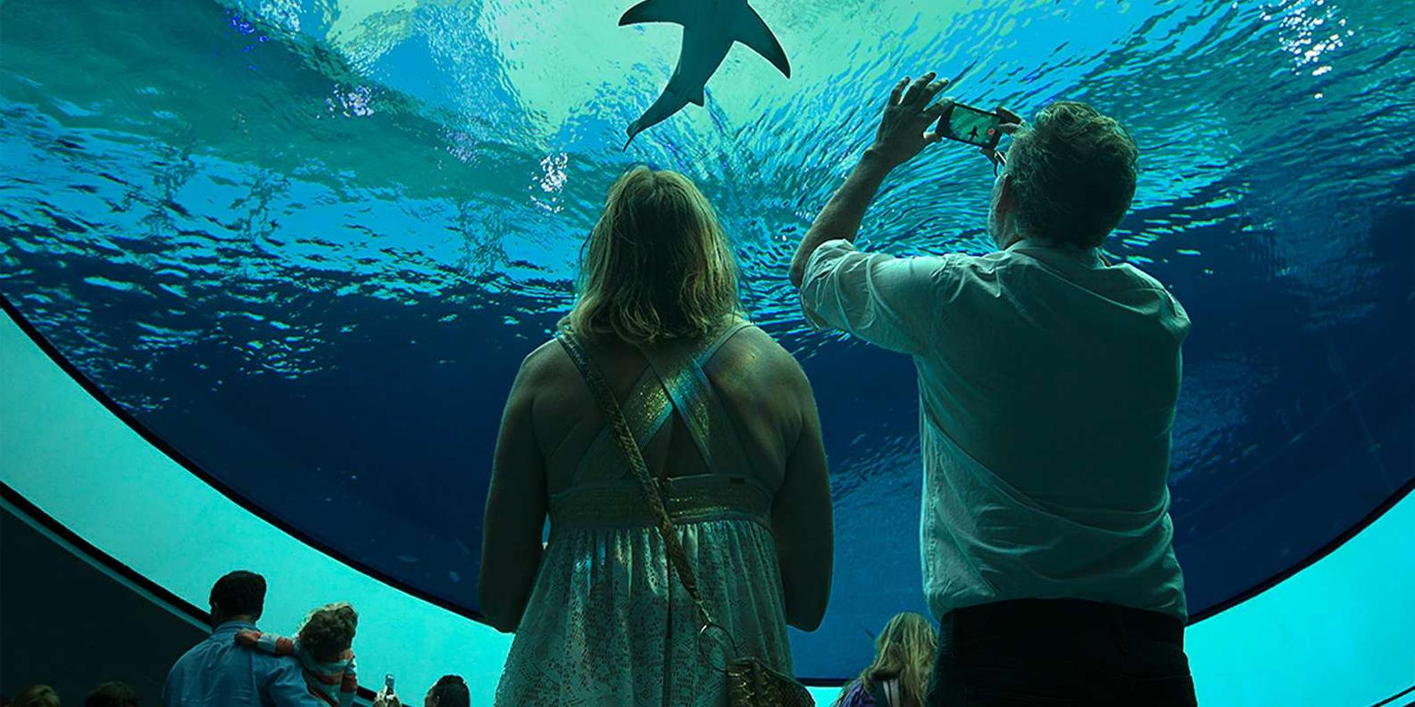 Miami Frost Museum of Science and Planetarium Entry