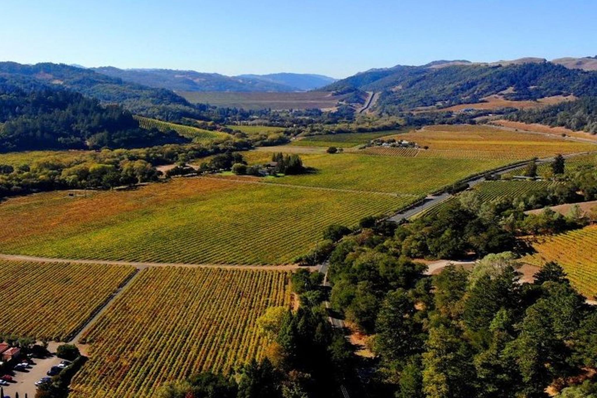 San Francisco Russian River Valley Wine Tour - Image 6