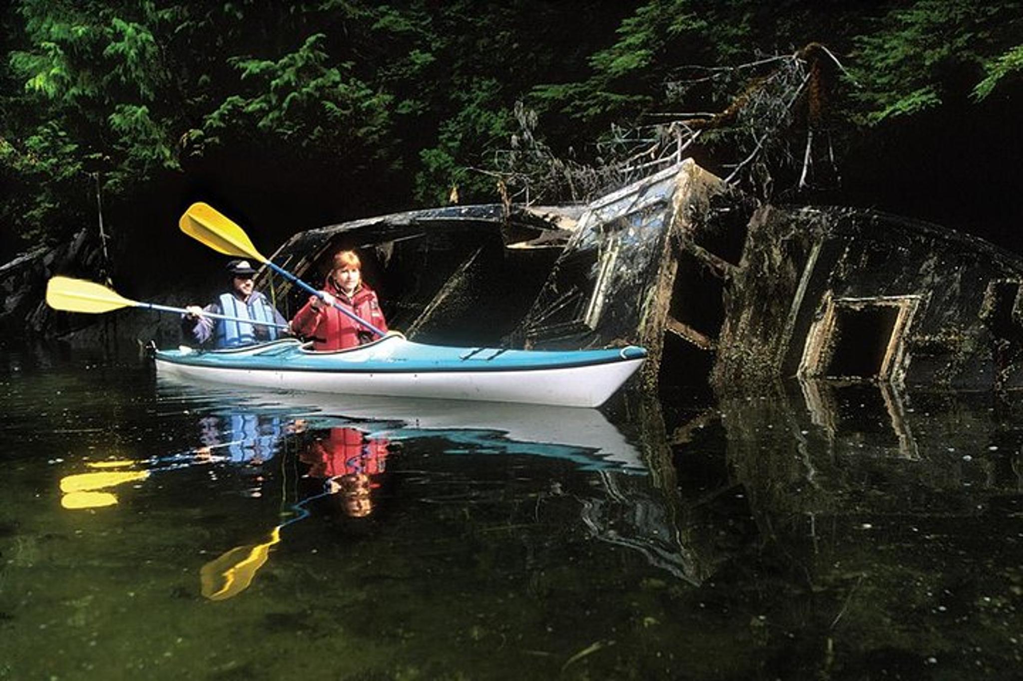 Sitka Sea Kayaking Adventure - Image 5