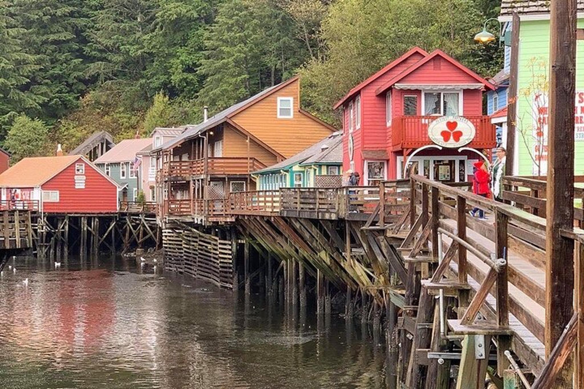 Ketchikan Private Wildlife Tour - Image 4