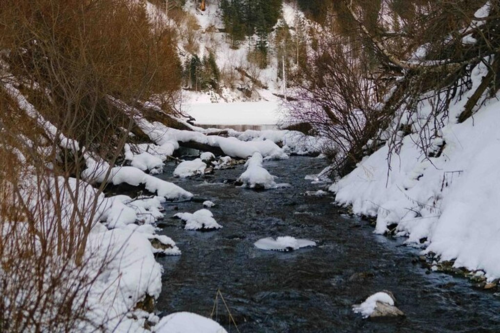 Charyn Canyons, Kolsay and Kaindy Lake Tour - Image 4