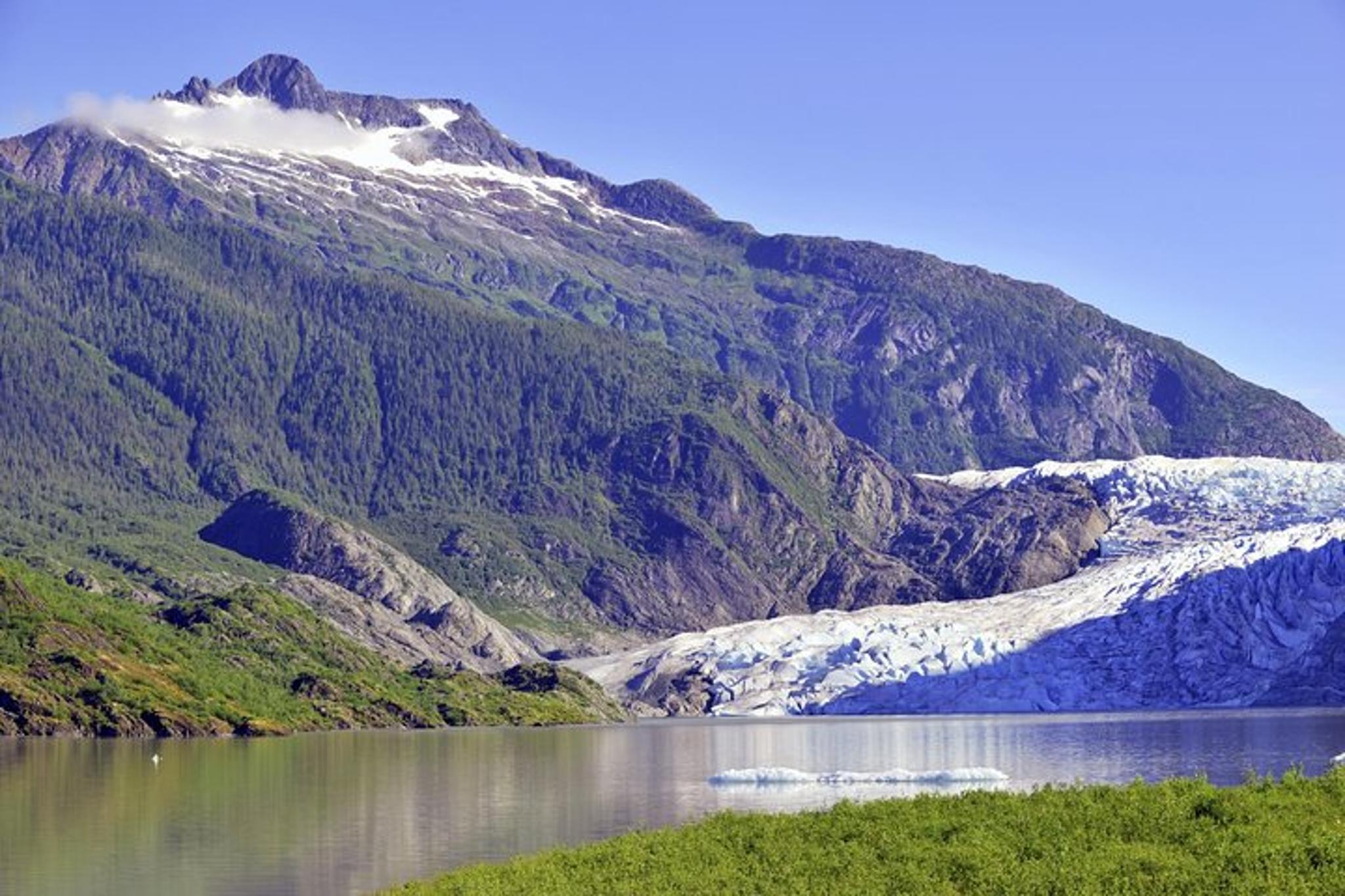 Juneau Mendenhall Glacier Trolley Tour 3 hr - Image 2