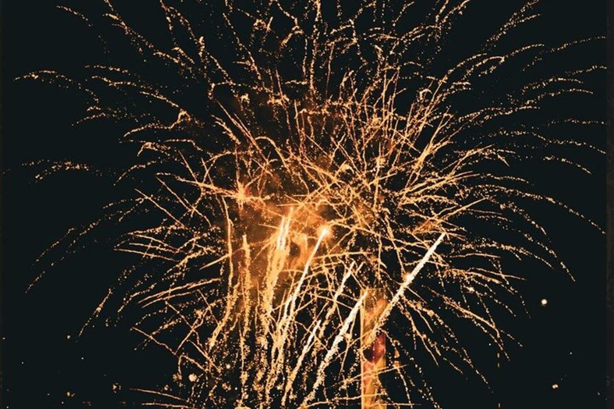 Honolulu Fireworks Cruise with Drinks 1 hr - Image 3